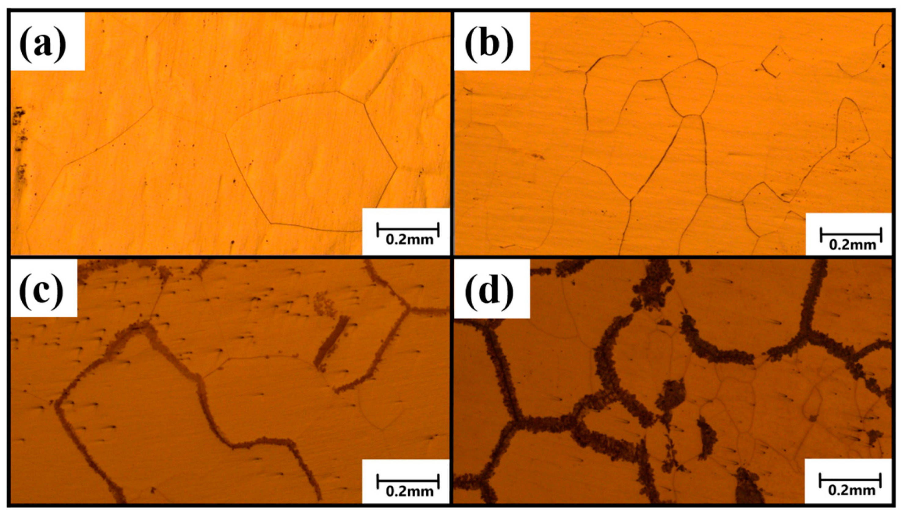 Crystals 11 01253 g003