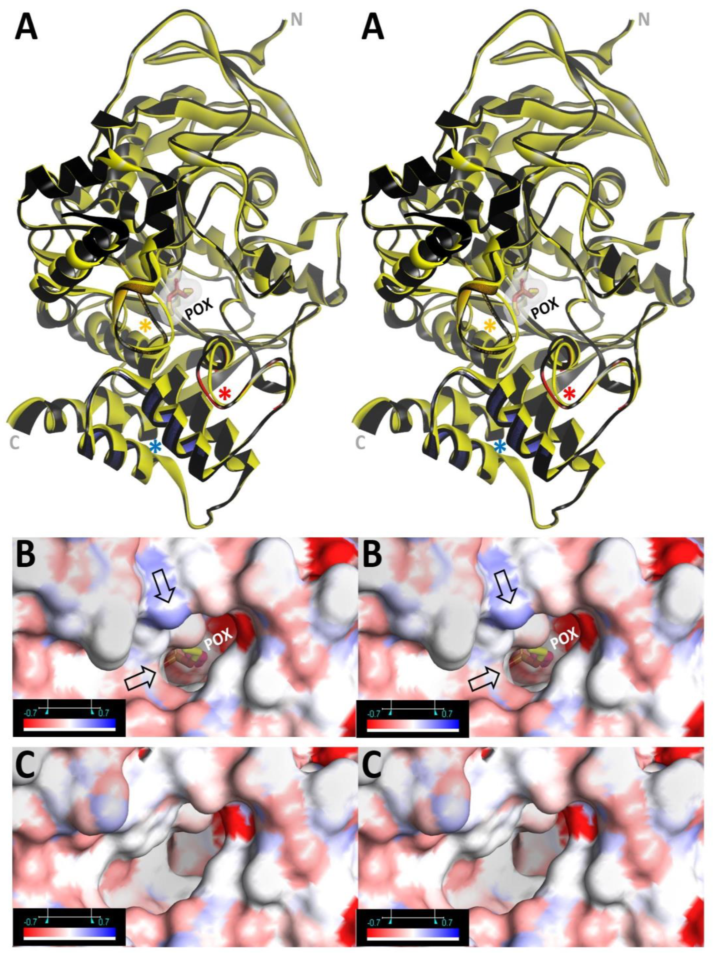 Crystals 11 01270 g003