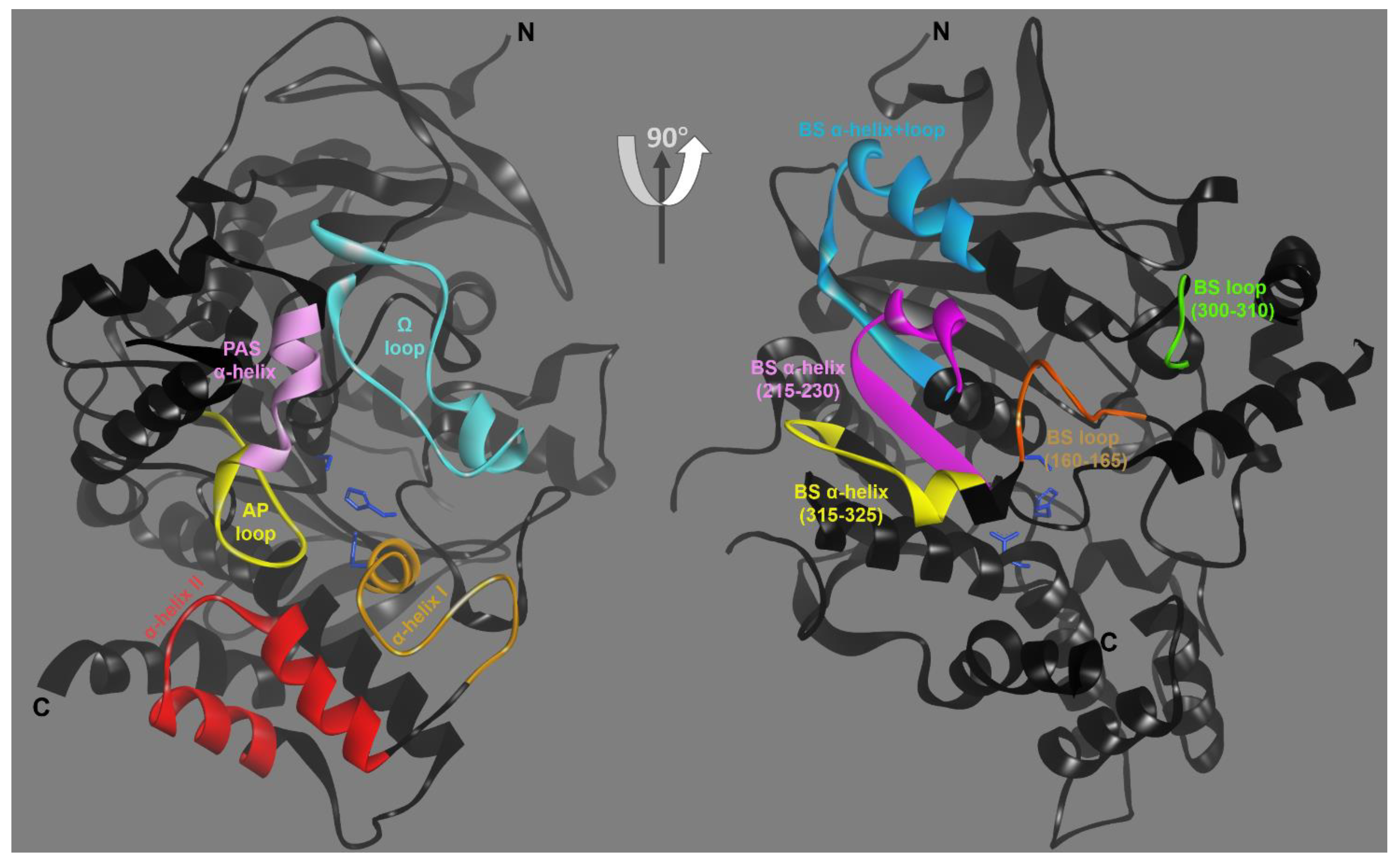 Crystals 11 01270 g005