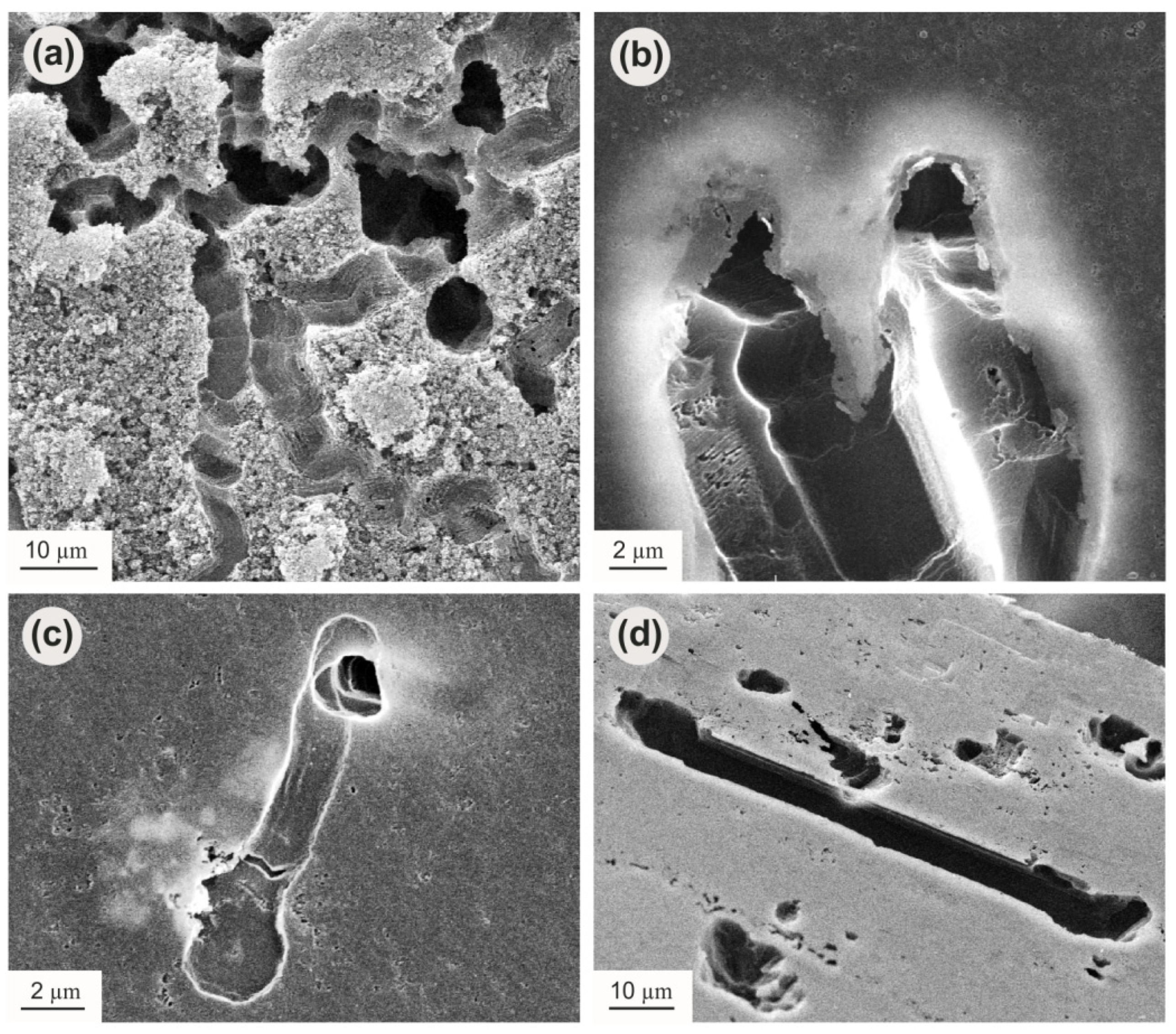Crystals 11 01341 g005