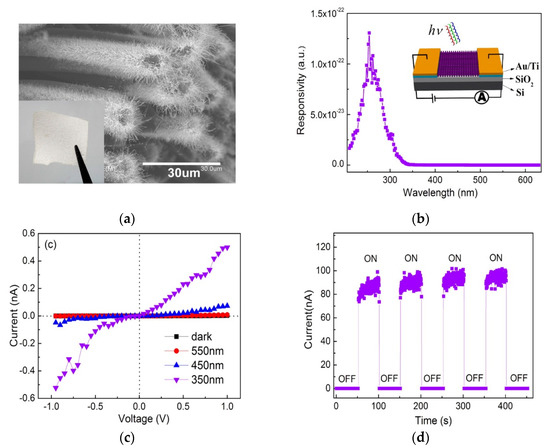 Optimizing ionic strength of interfacial electric double layer for  ultrahigh external quantum efficiency of photomultiplication-type organic  photodetectors - Journal of Materials Chemistry C (RSC Publishing)