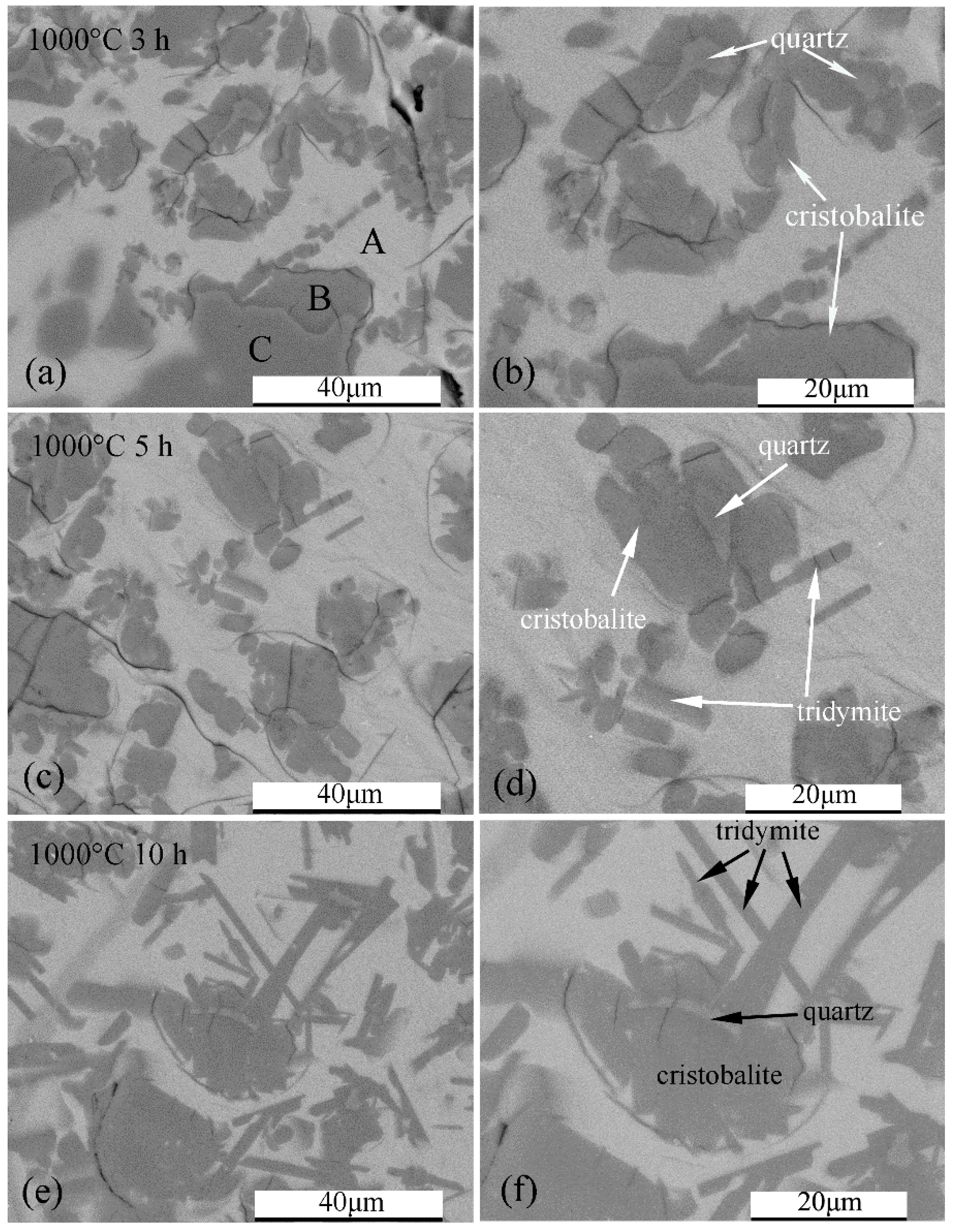 Crystals 11 01481 g005