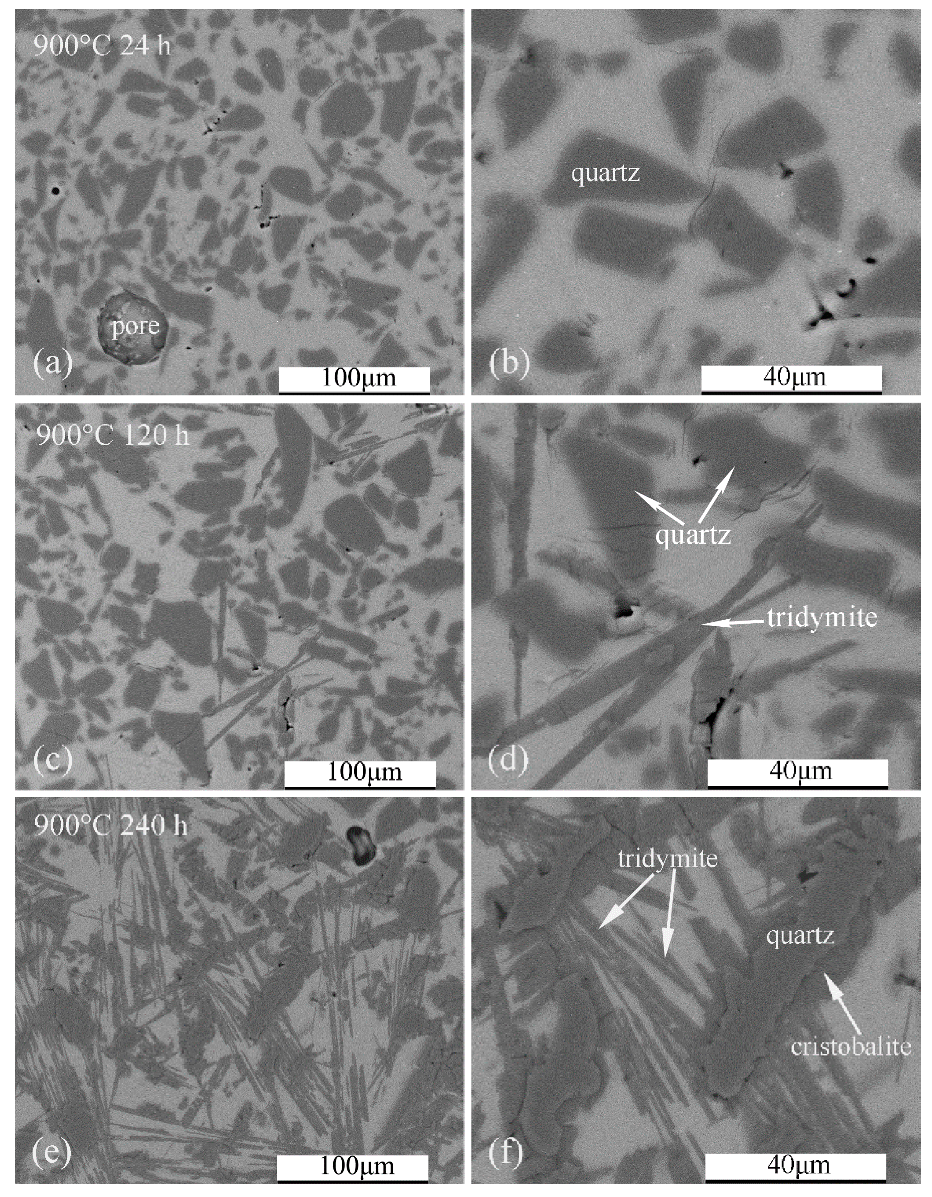 Crystals 11 01481 g008