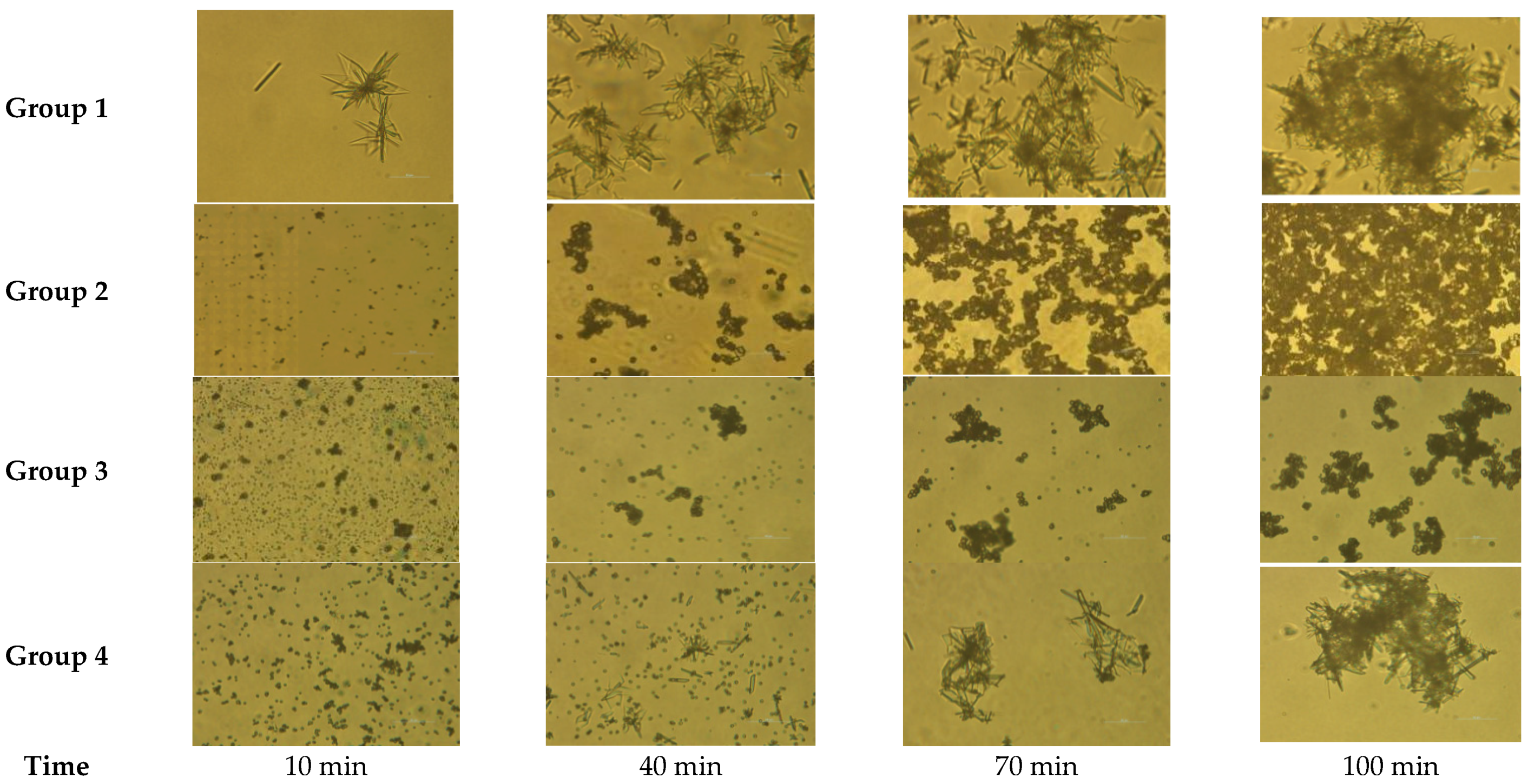 Crystals 11 01494 g006