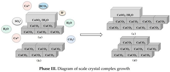 Magnesium Impurities Decide the Structure of Calcium Carbonate Hemihydrate