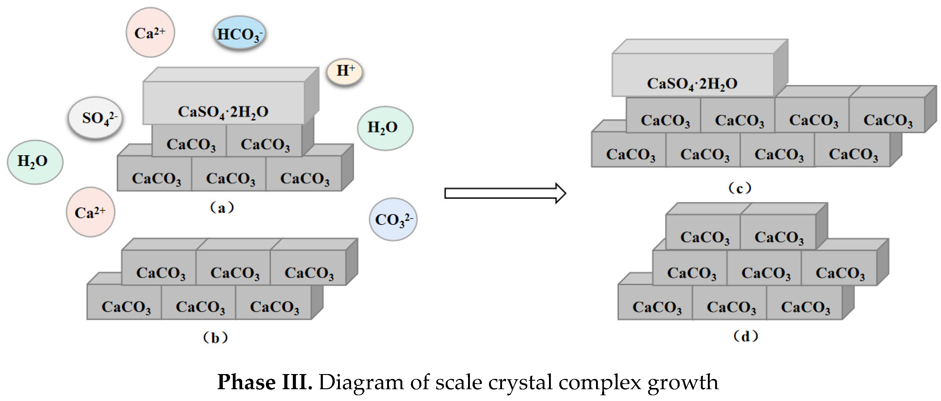 Crystals 11 01494 g008b