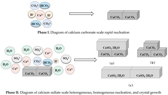 Magnesium Impurities Decide the Structure of Calcium Carbonate Hemihydrate