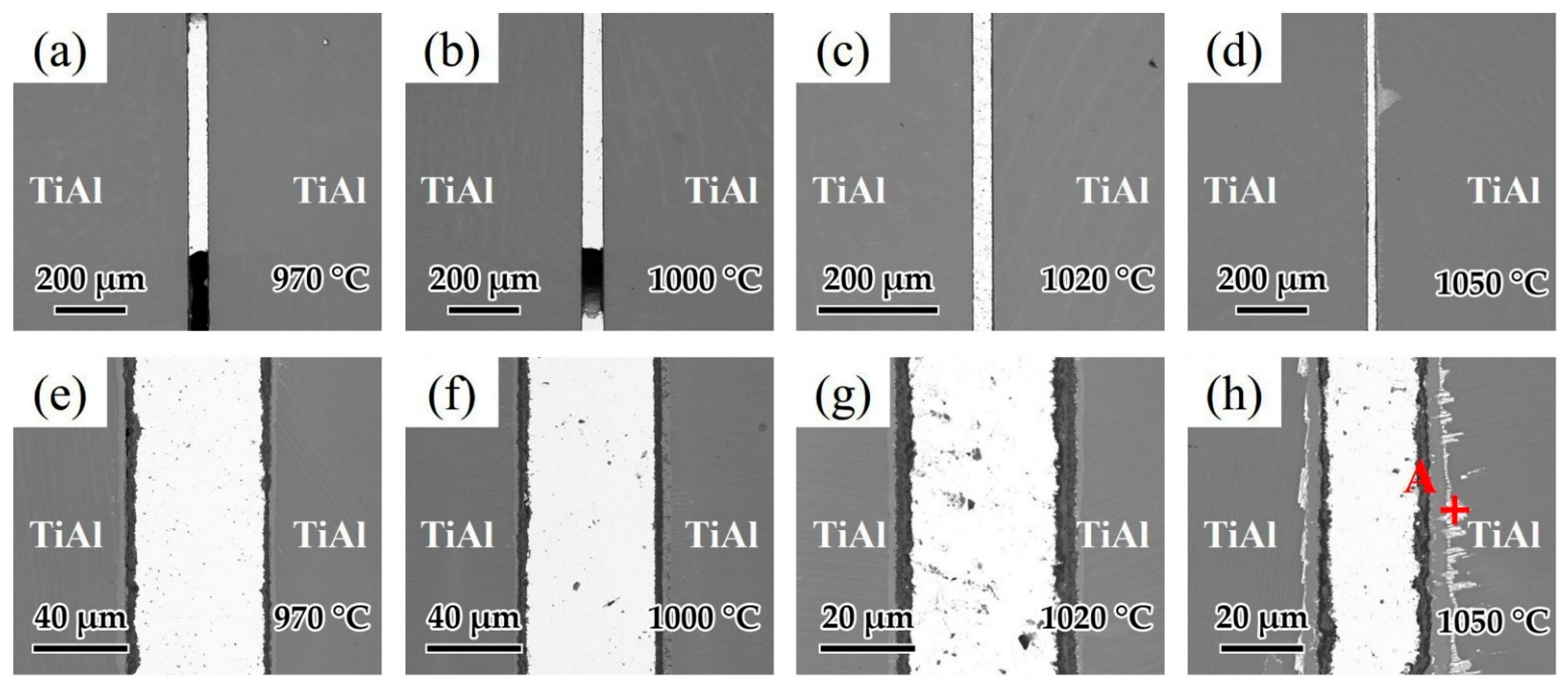 Crystals 11 01496 g010