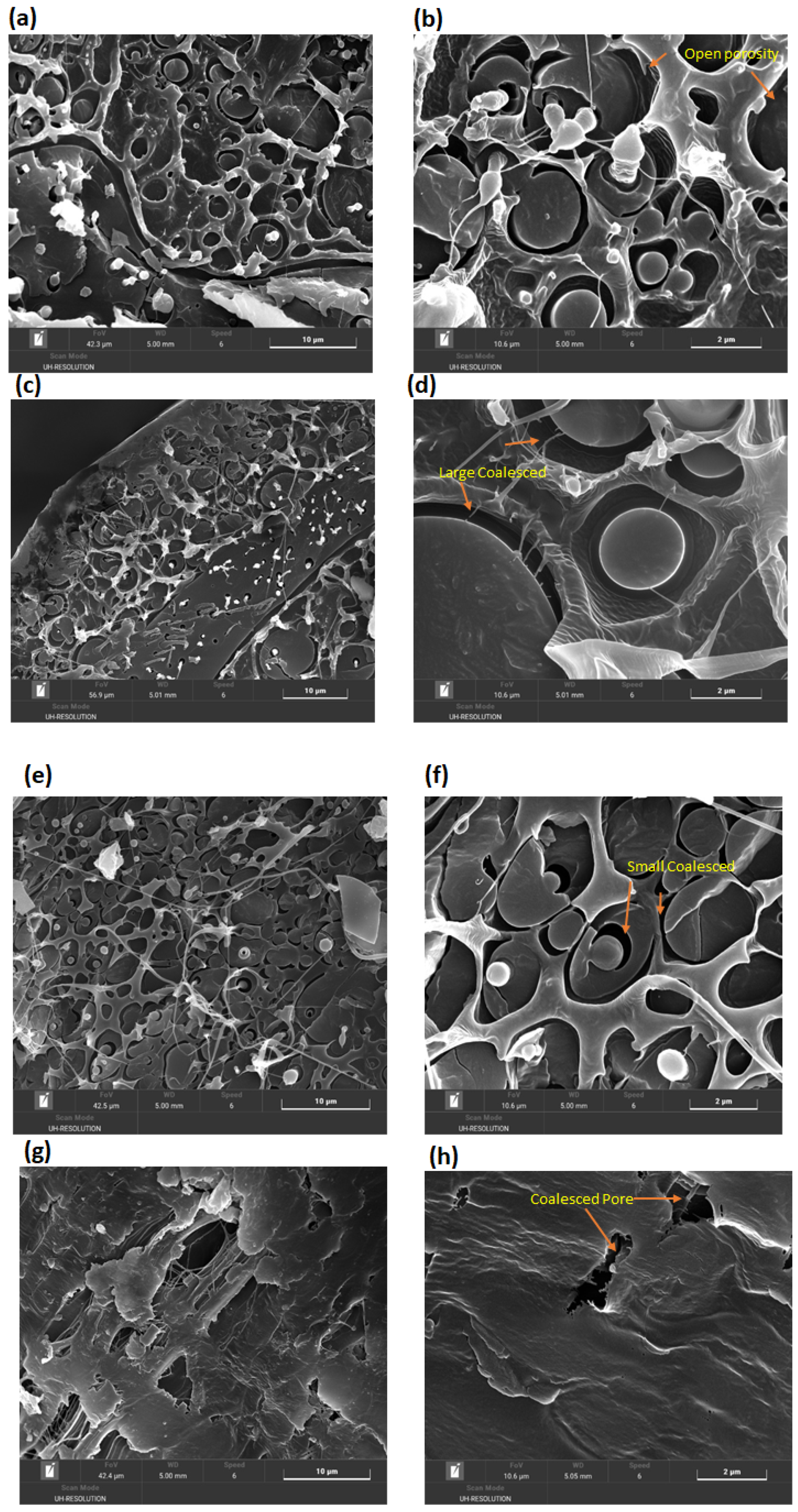 Crystals 11 01520 g004