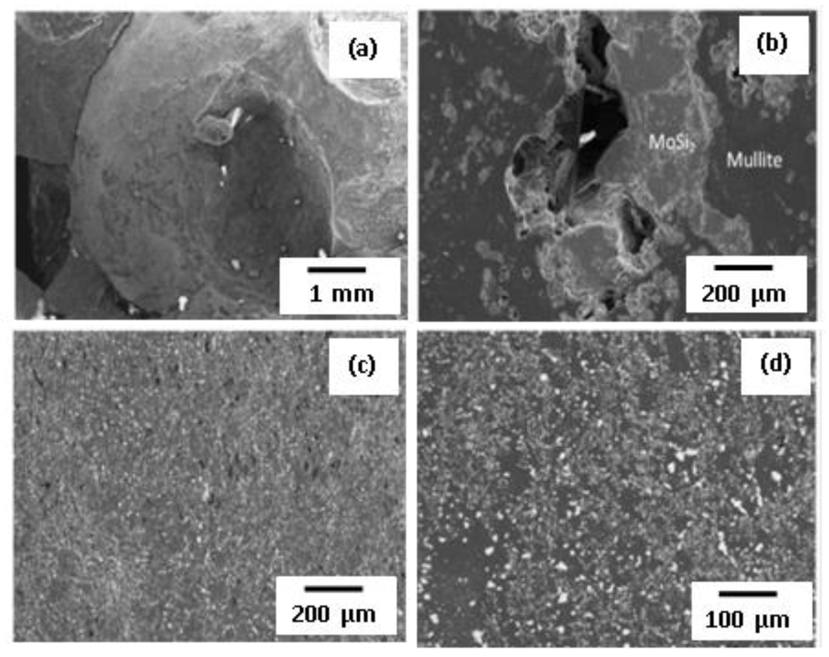 Crystals 12 00059 g009 Crystals 12 00059 g009