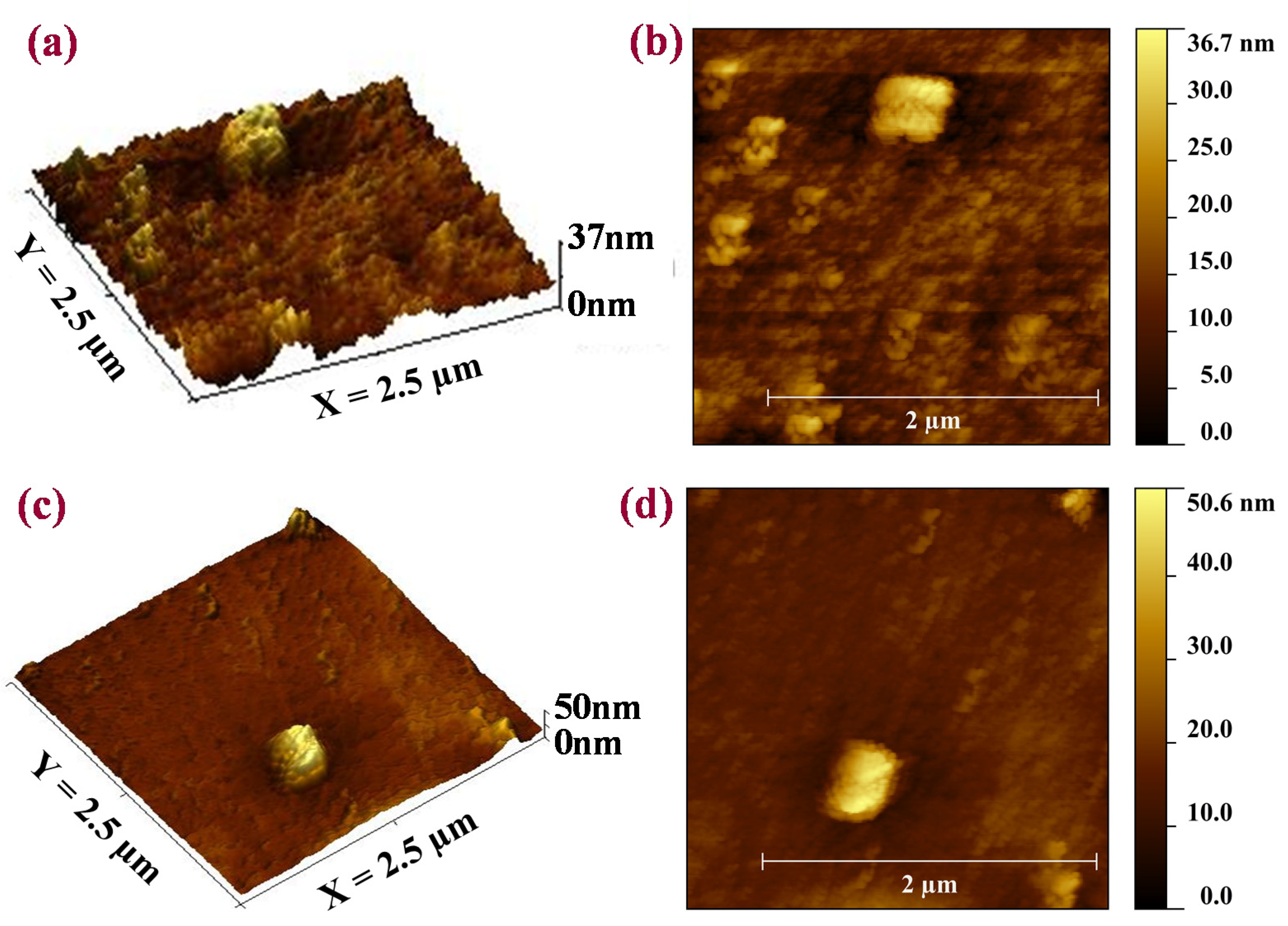 Crystals 12 00062 g010