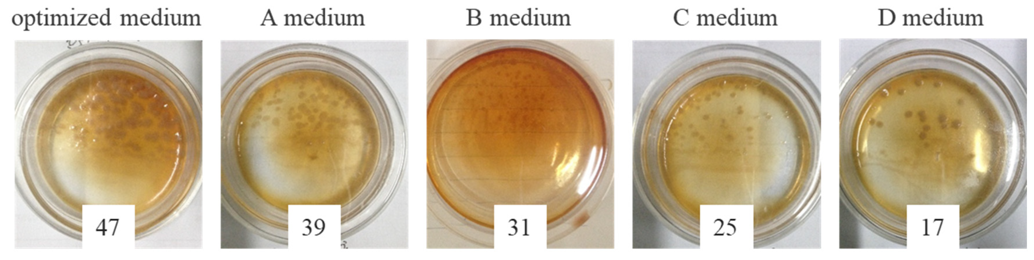 Crystals 12 00188 g008