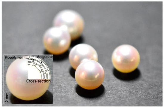 The cultured pearl samples investigated in this study. The pearls