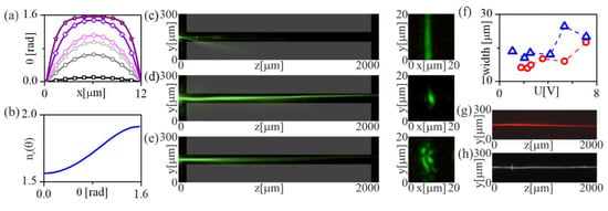 Electrical Control Of Optical Liquid-Crystal-Guided Microstructures