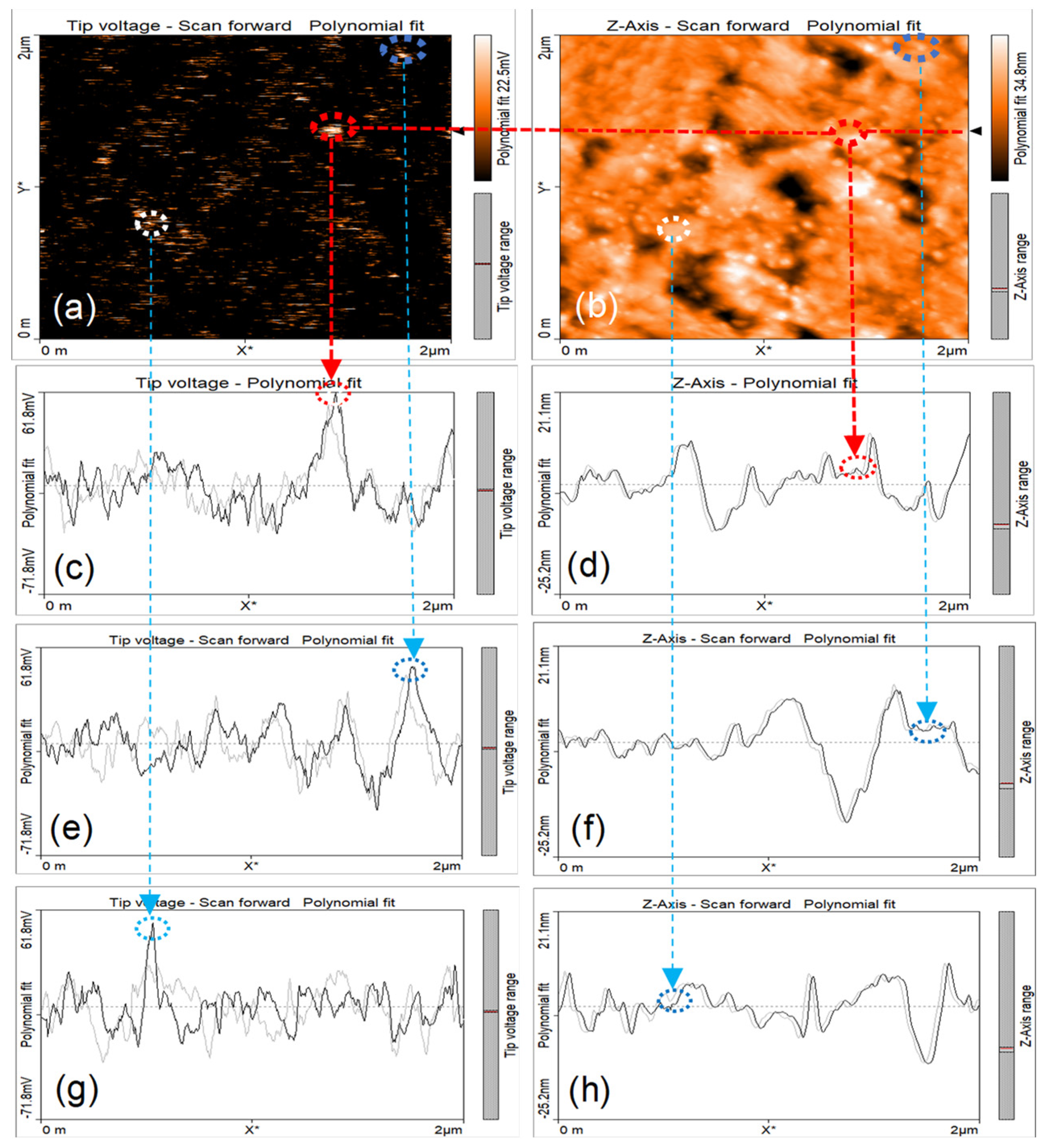 Crystals 12 00347 g004