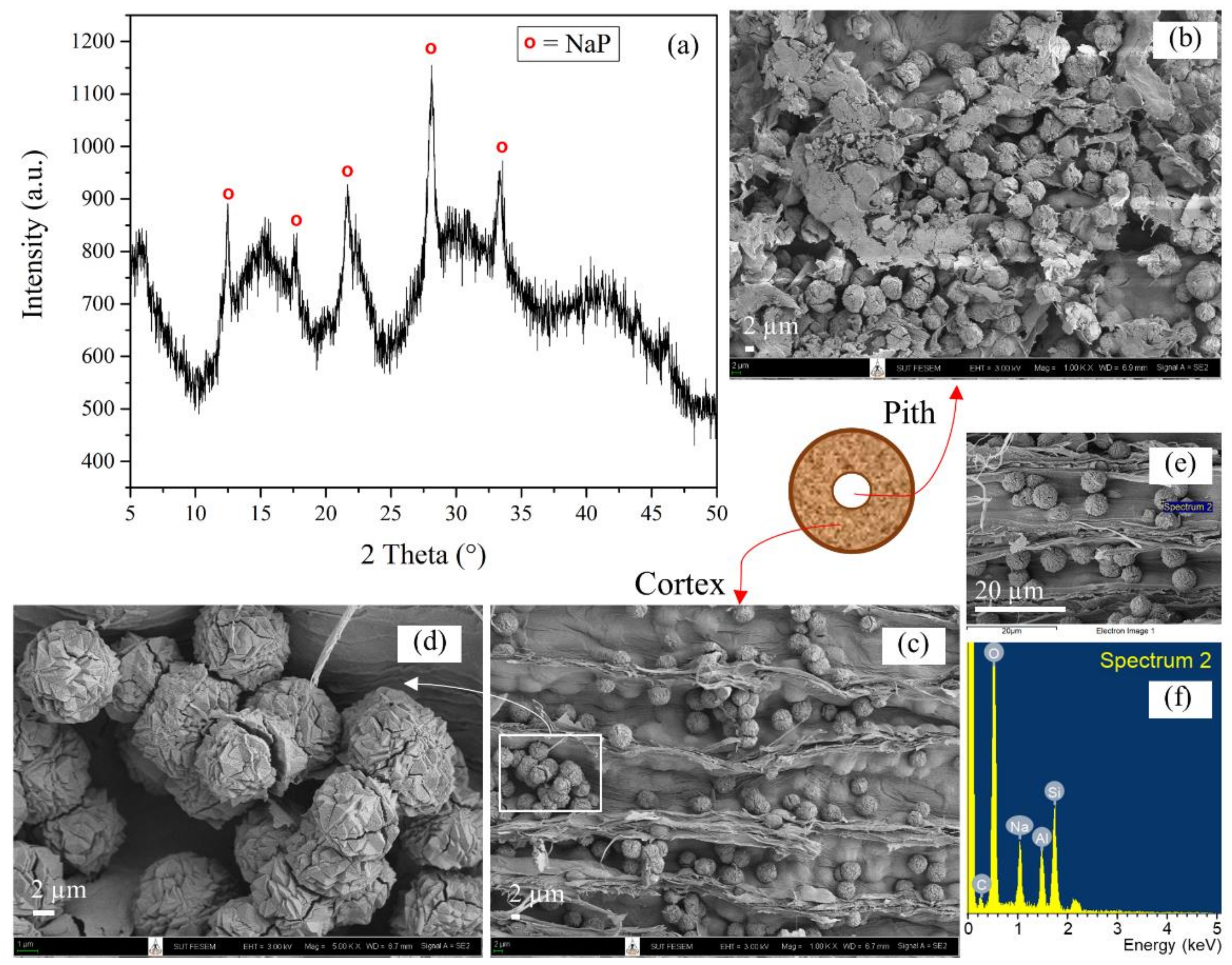 Crystals 12 00504 g003