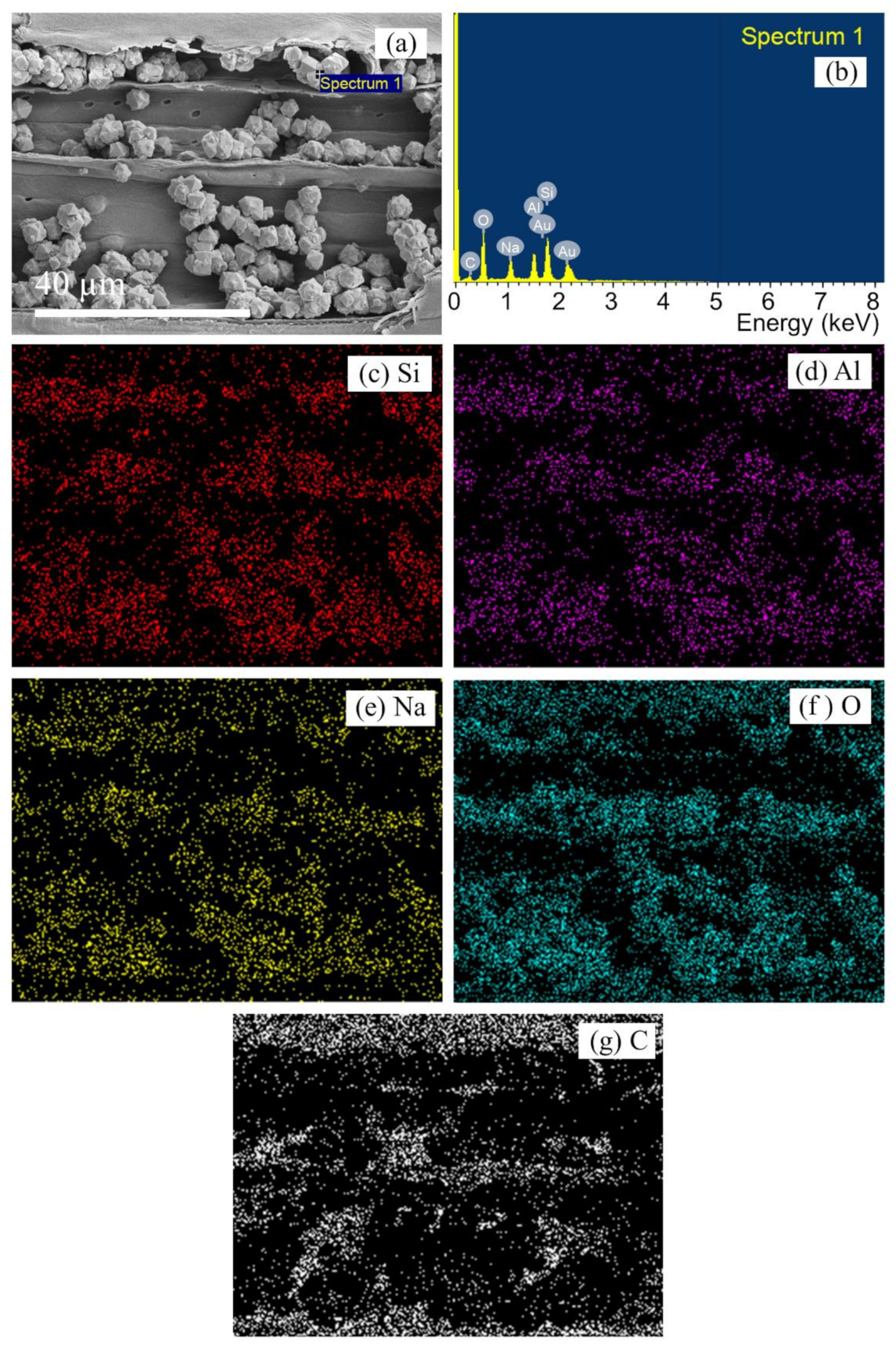 Crystals 12 00504 g007