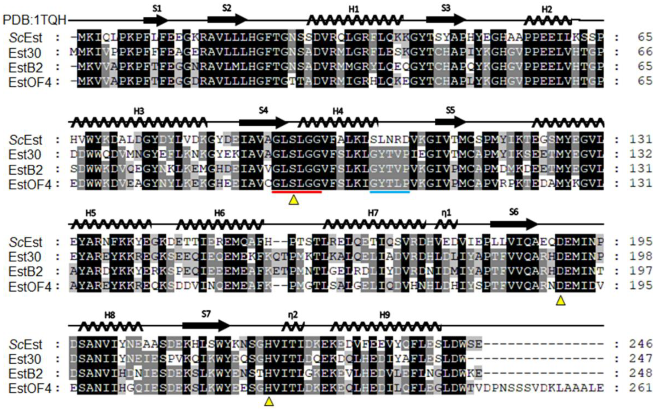 Crystals 12 00546 g002