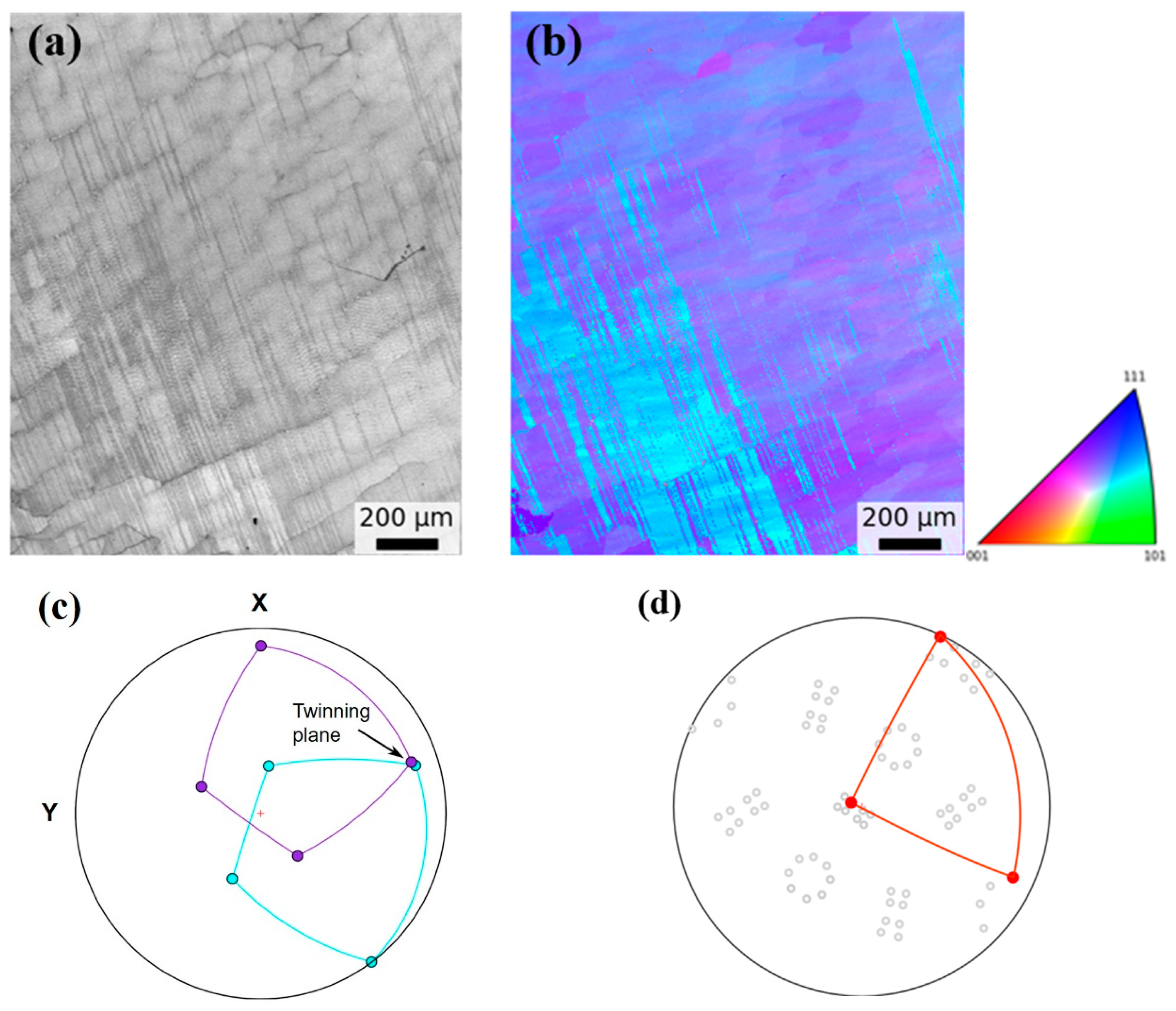 Crystals 12 00634 g006