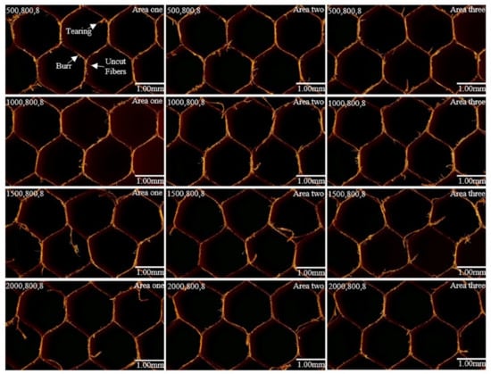 a Ultrasonic straight-edge knives wear form. b Honeycomb composite