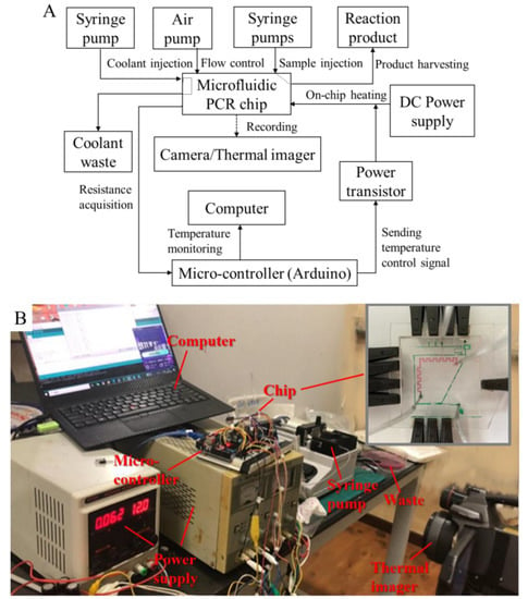 Bull Temperature Probes Testing and Unit Calibration