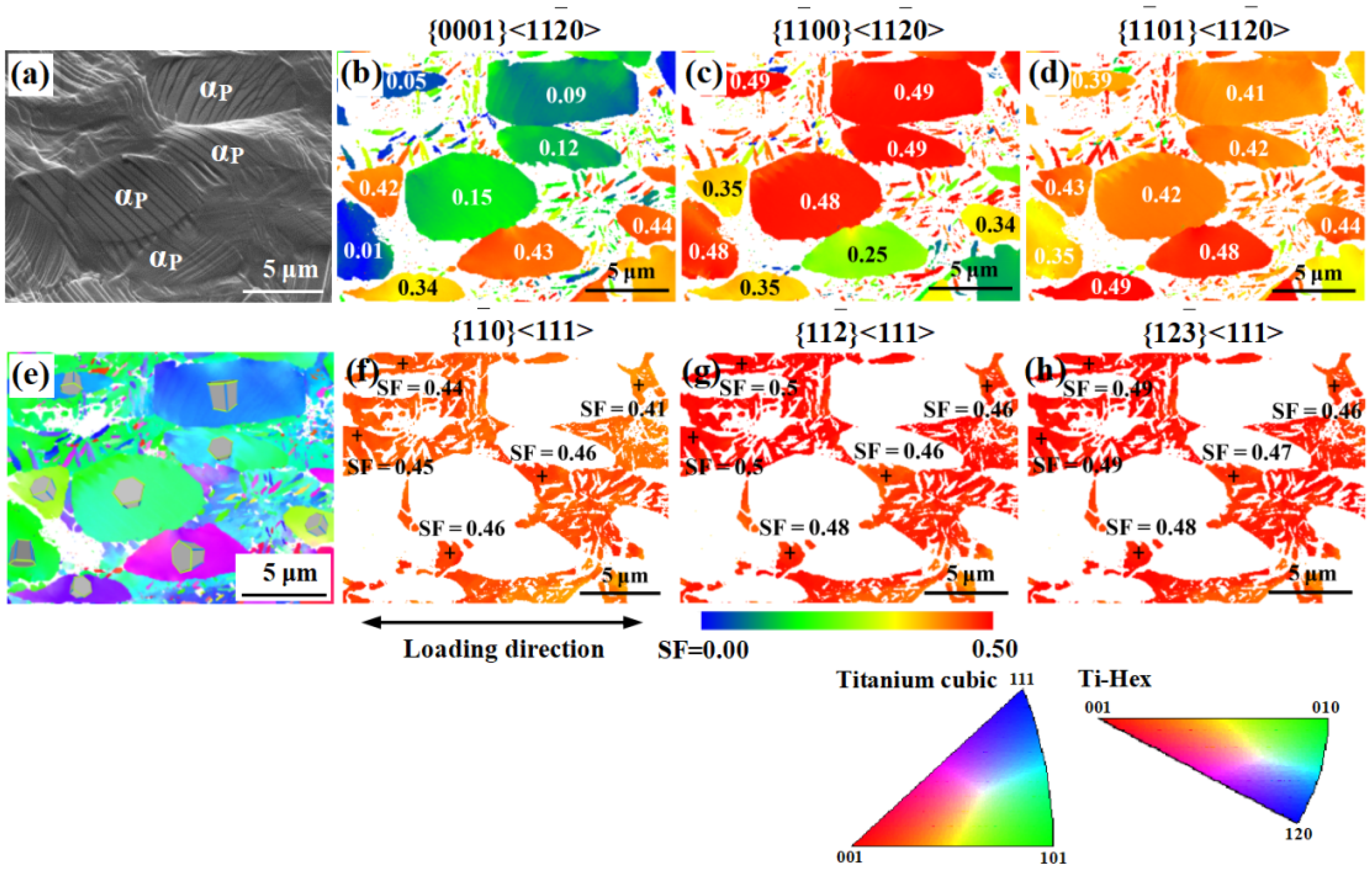 Crystals 12 00934 g010