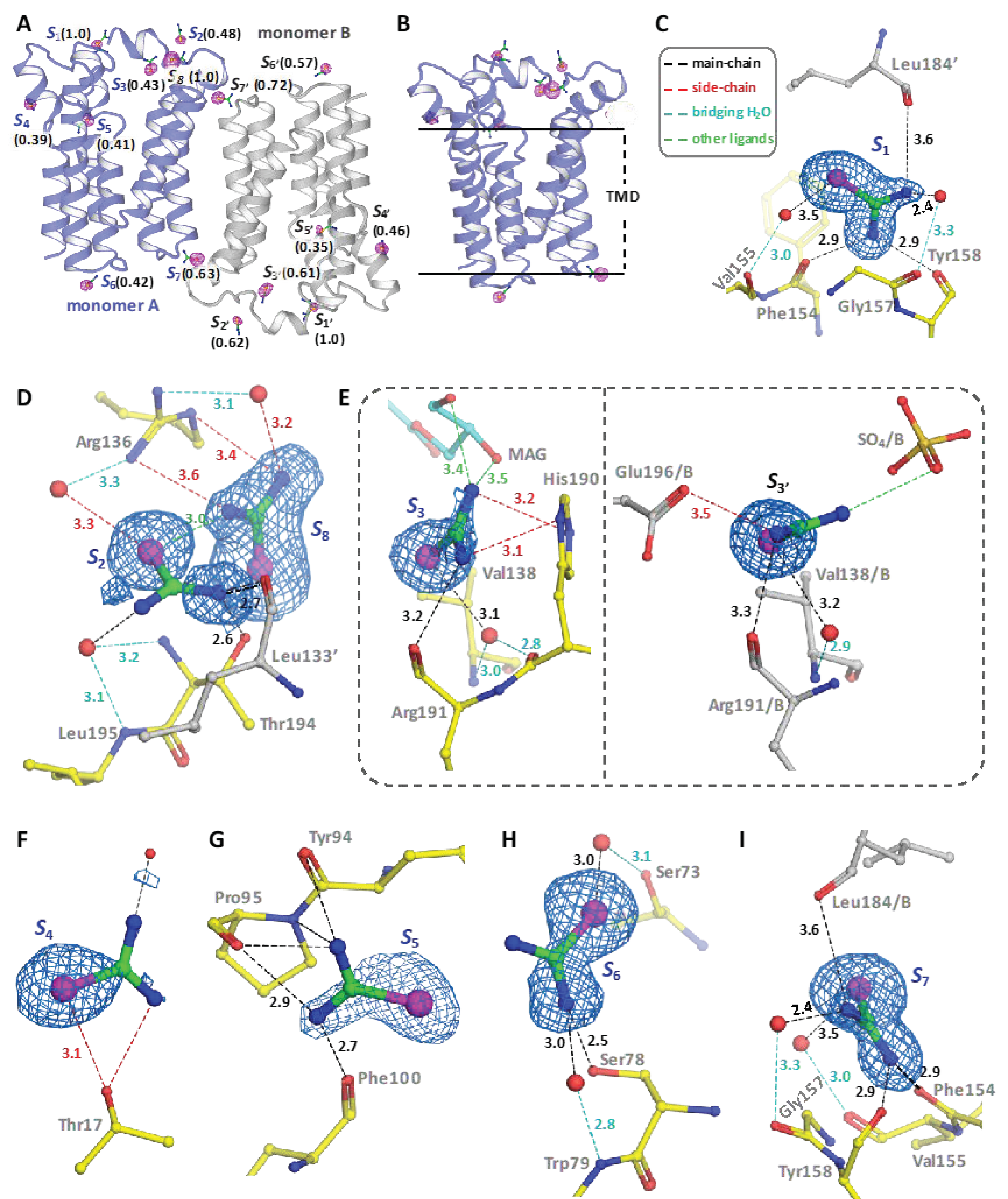 Crystals 12 00976 g006