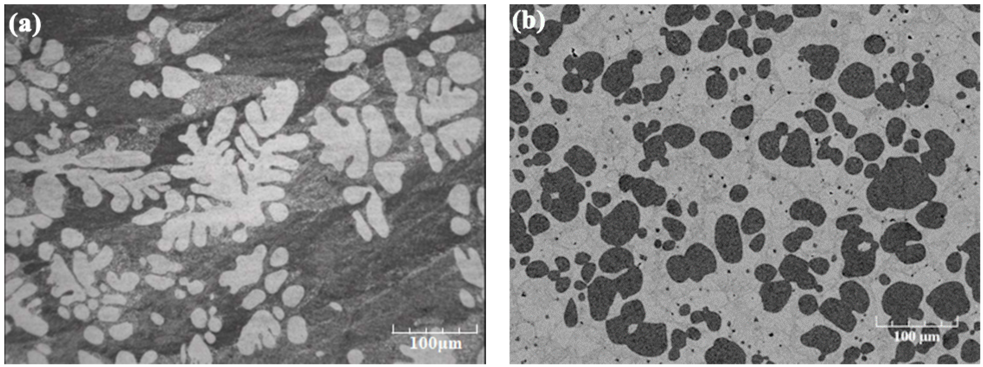 SCP (Soil Crystallizing Pre-Spray) - Action Chemical