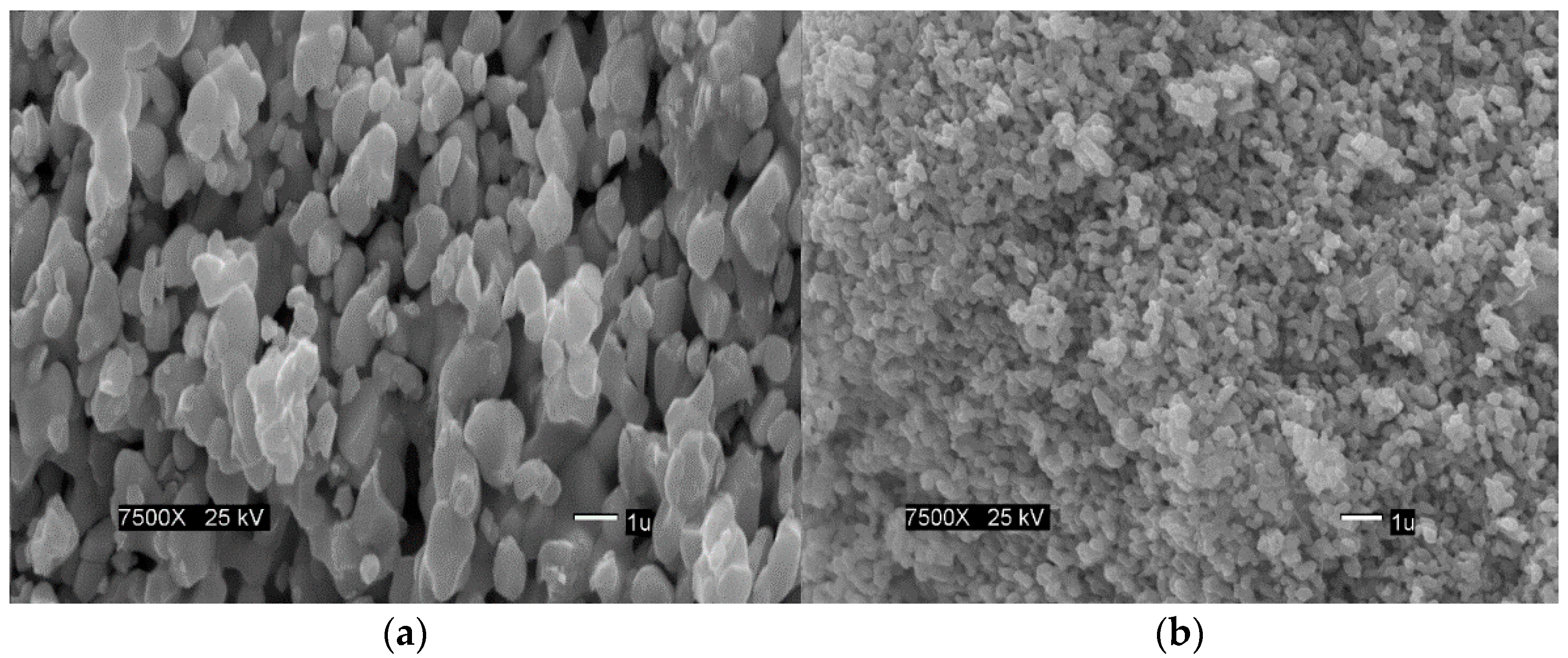 Crystals 12 01058 g005