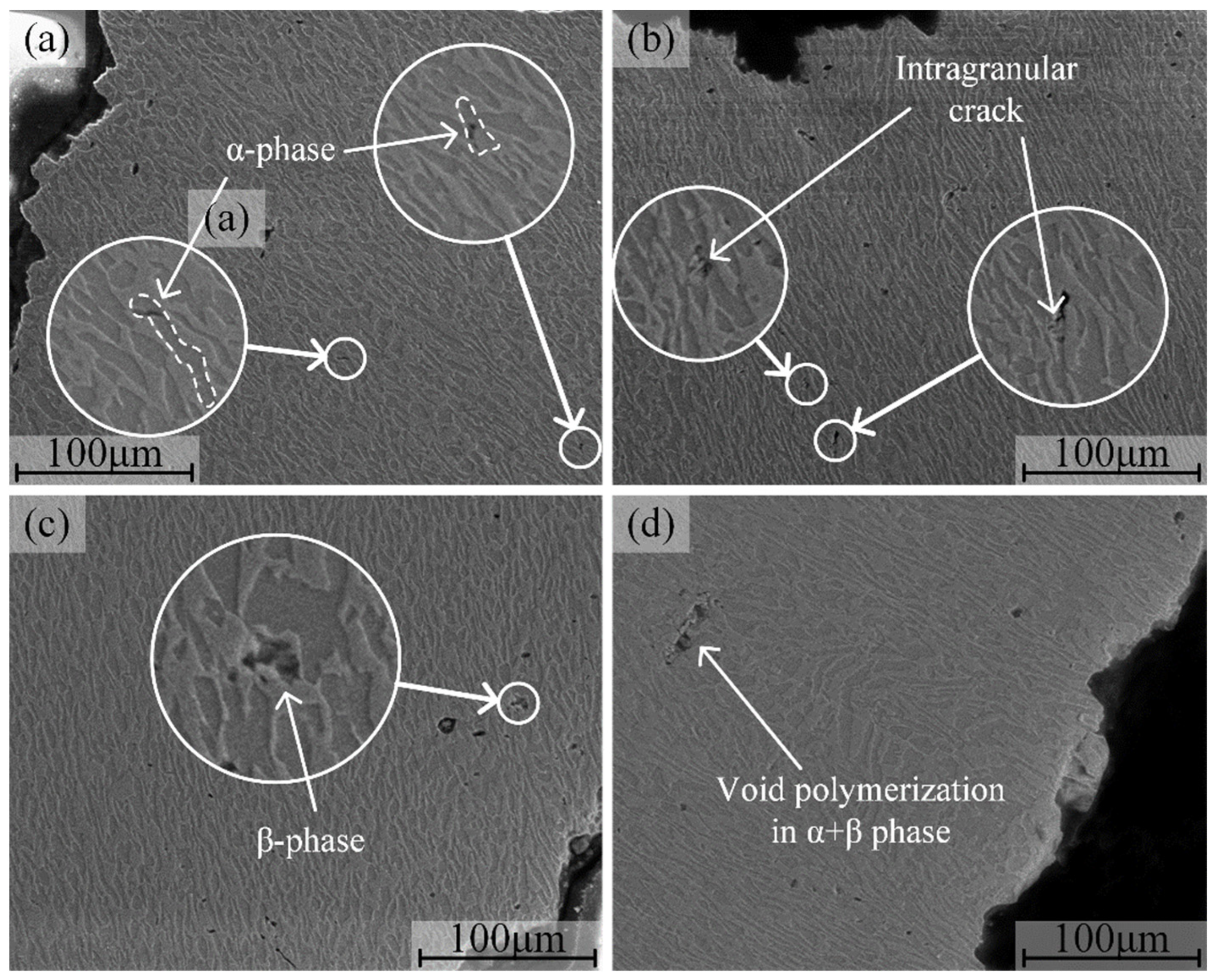Crystals 12 01255 g006 Crystals 12 01255 g006