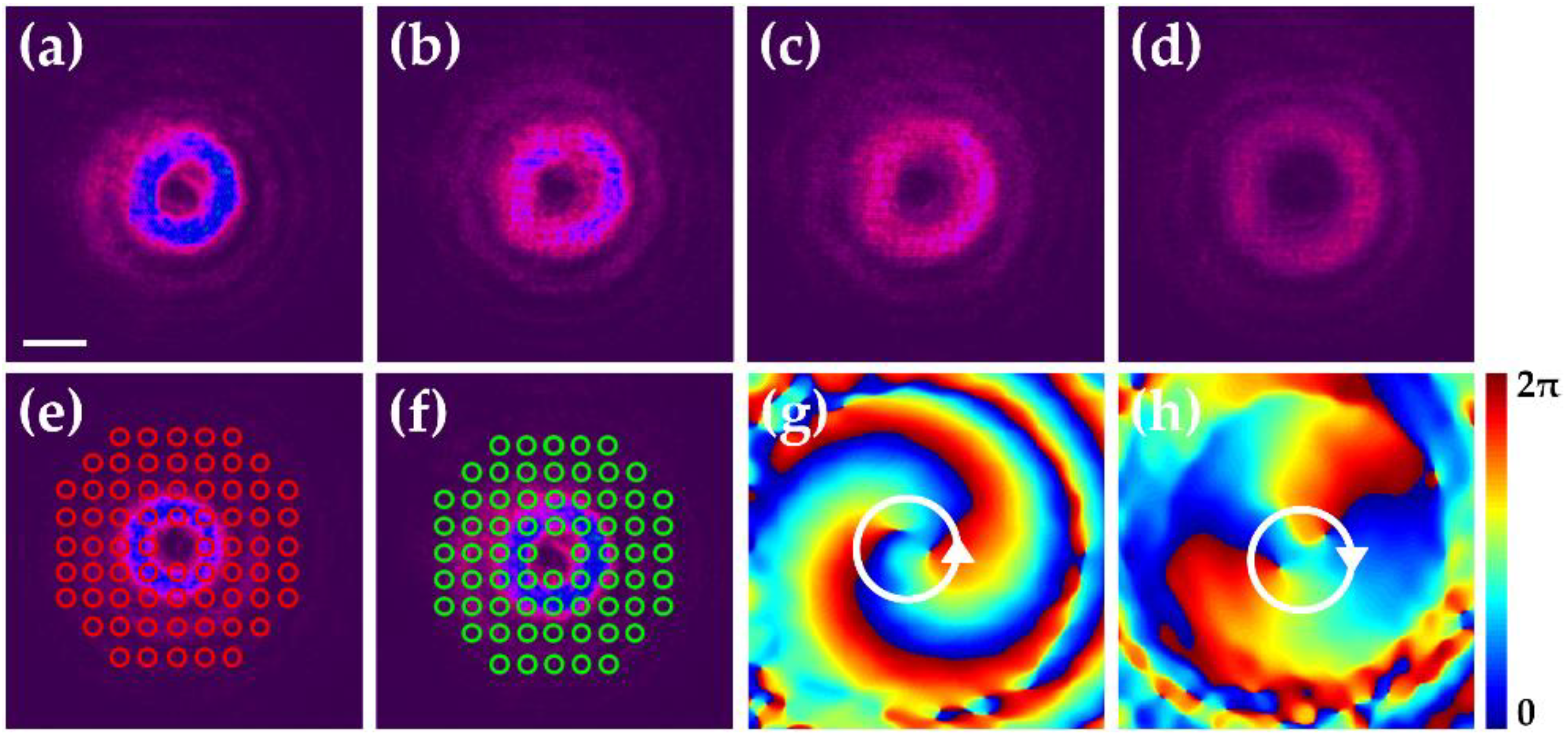 Crystals 12 01356 g005