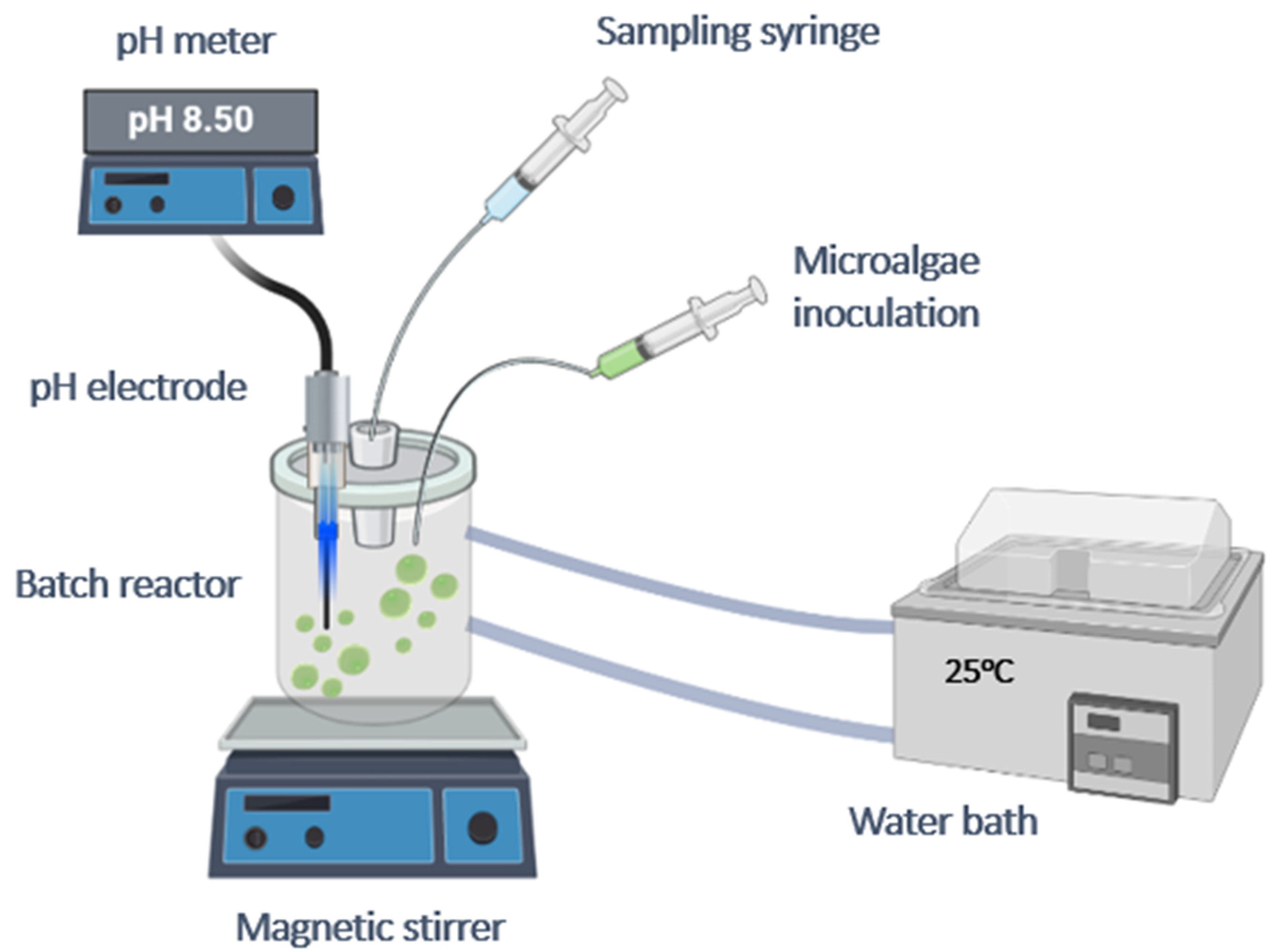 Crystals 12 01424 g001