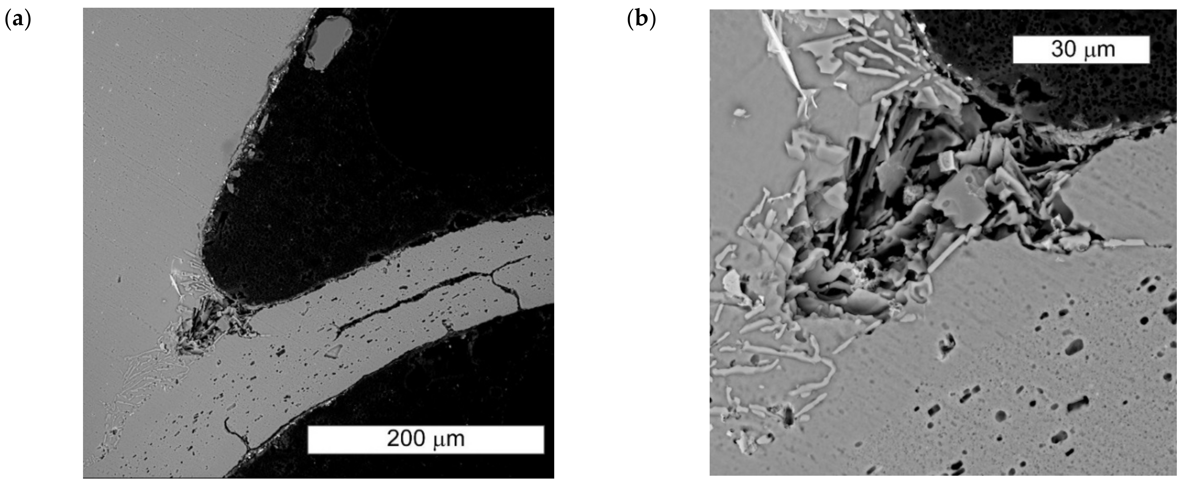 Crystals 12 01439 g005