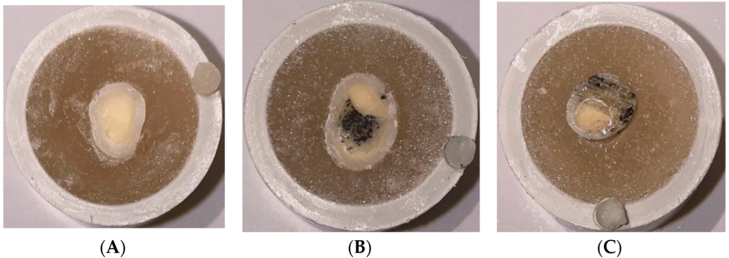 Crystals 12 01441 g004
