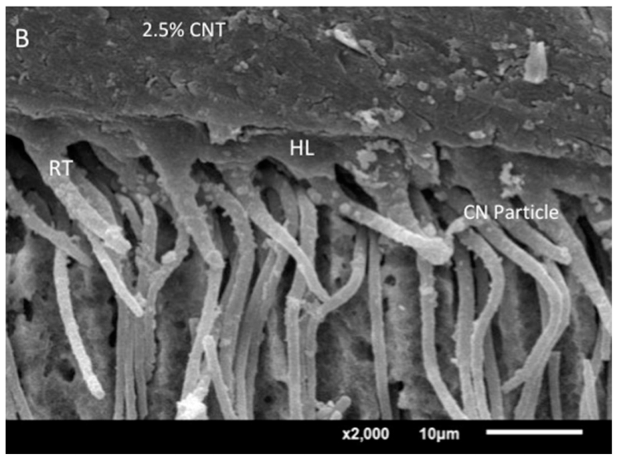 Crystals 12 01441 g005b