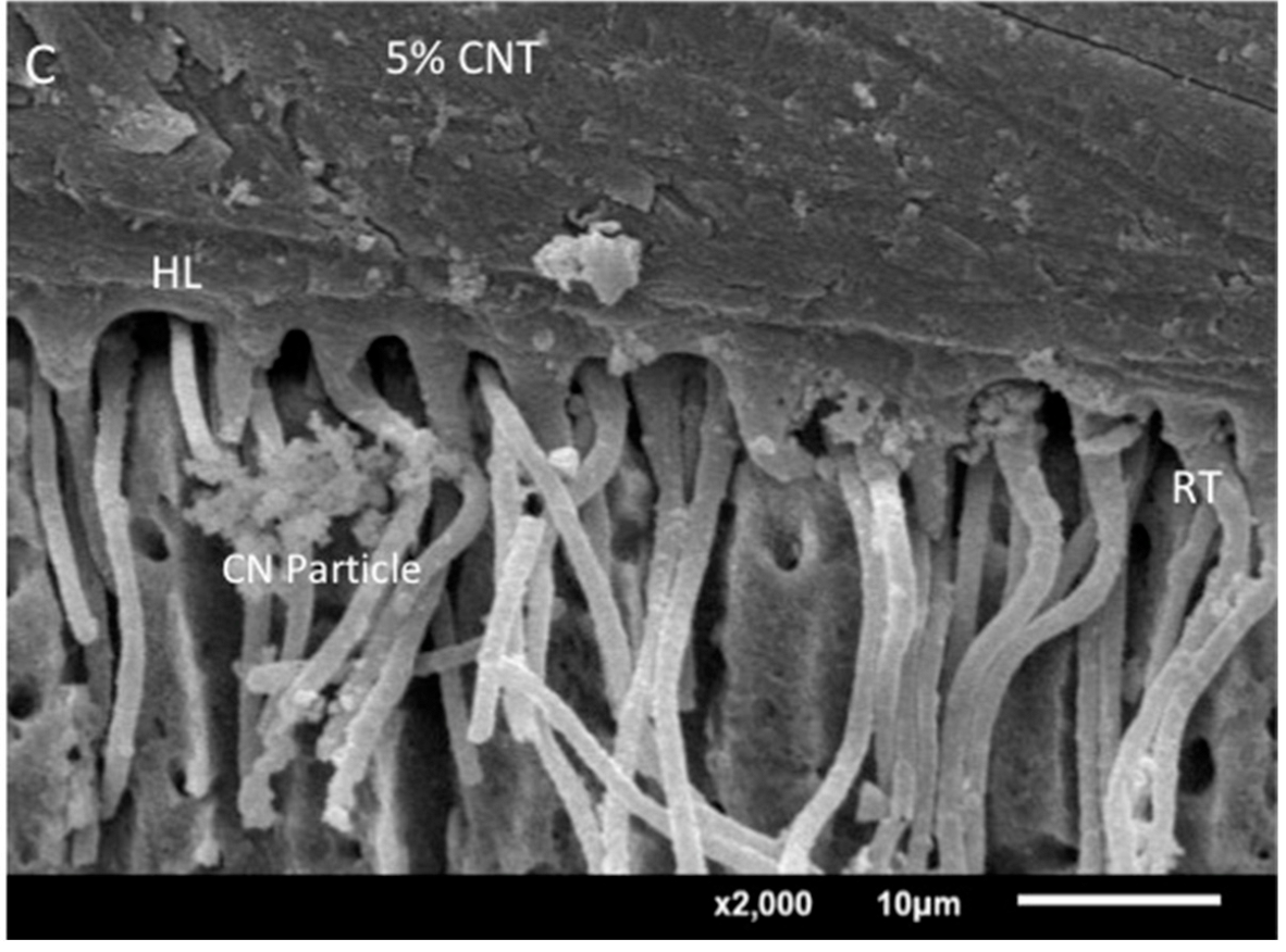Crystals 12 01441 g005c