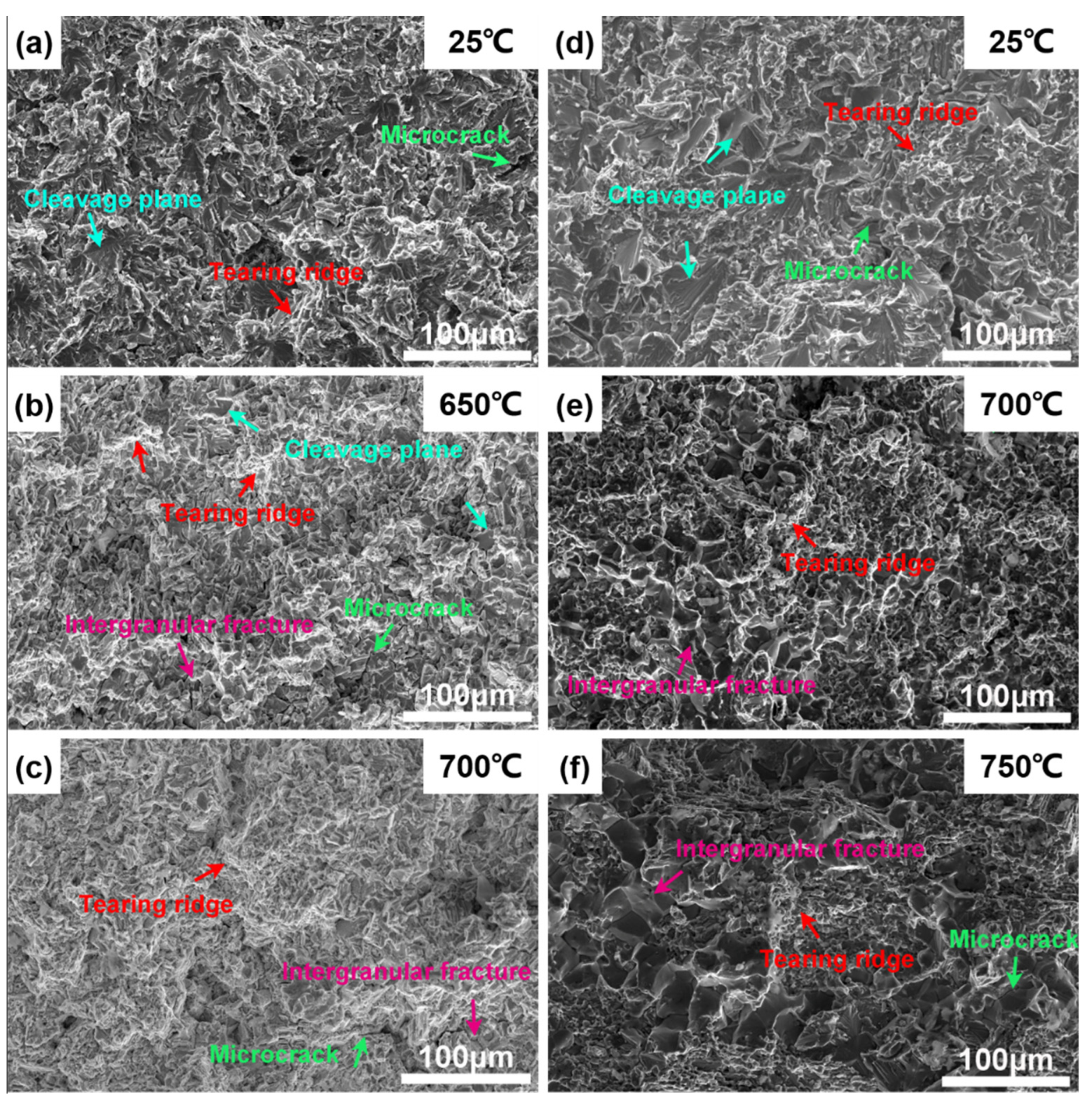 Crystals 12 01498 g011 Crystals 12 01498 g011