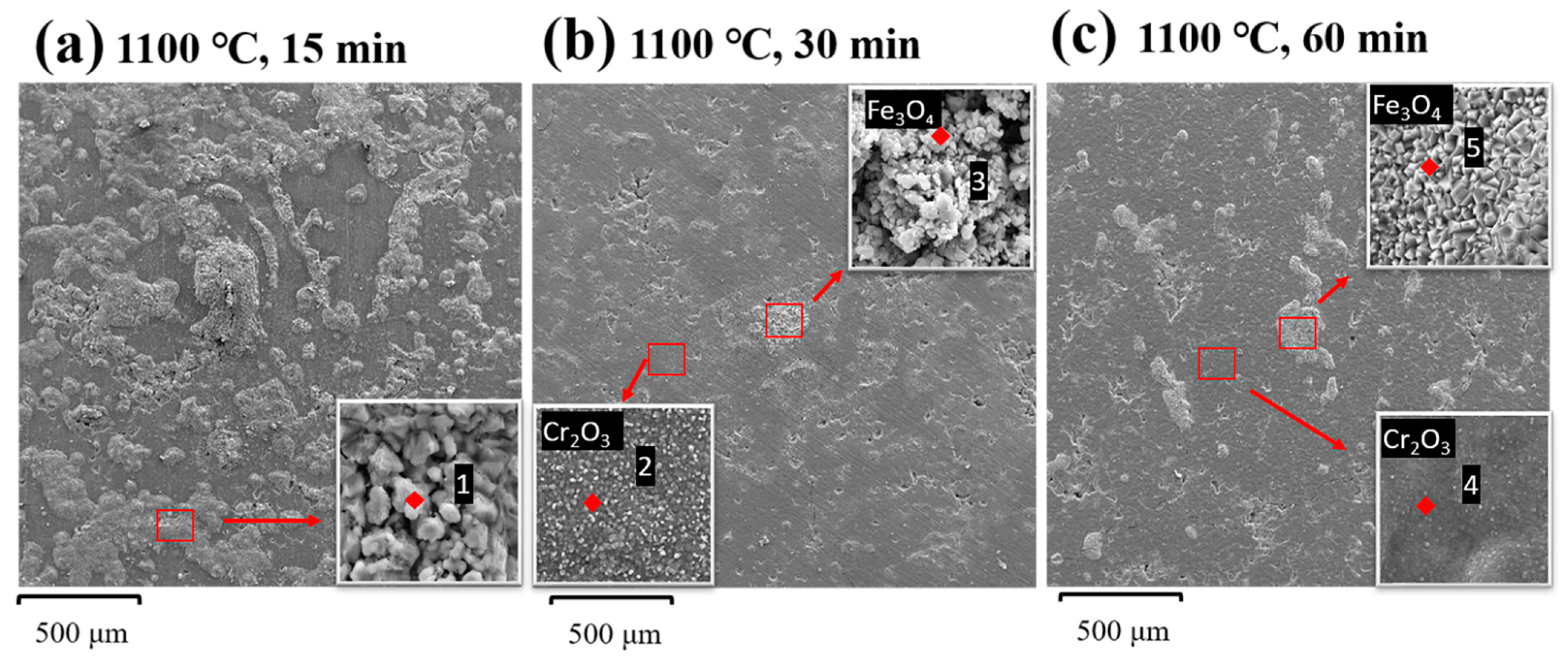 Crystals 12 01529 g005