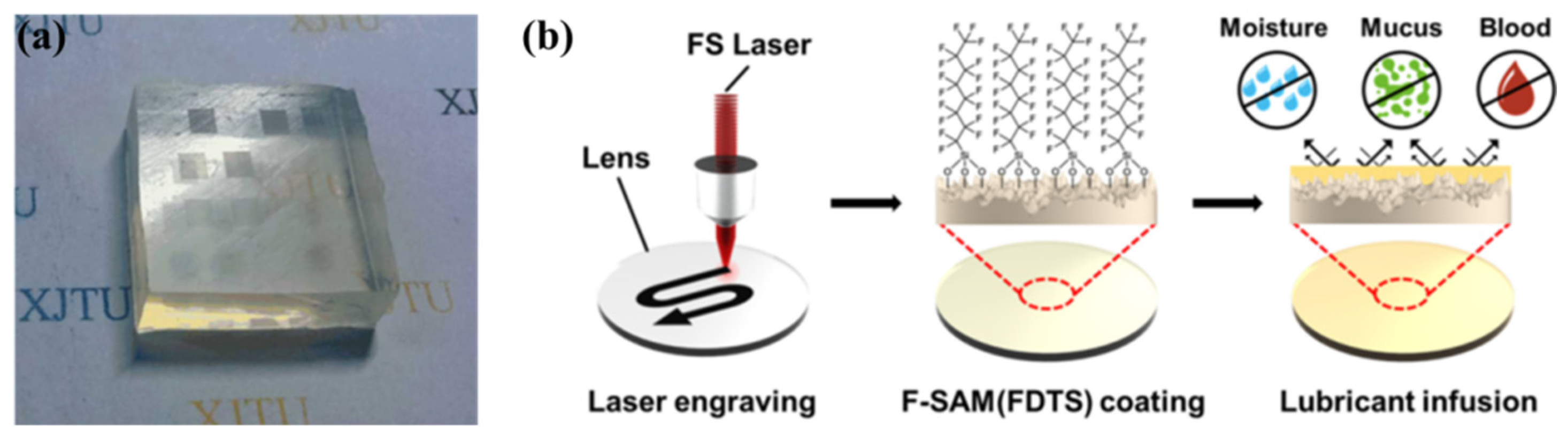 Crystals 13 00020 g009