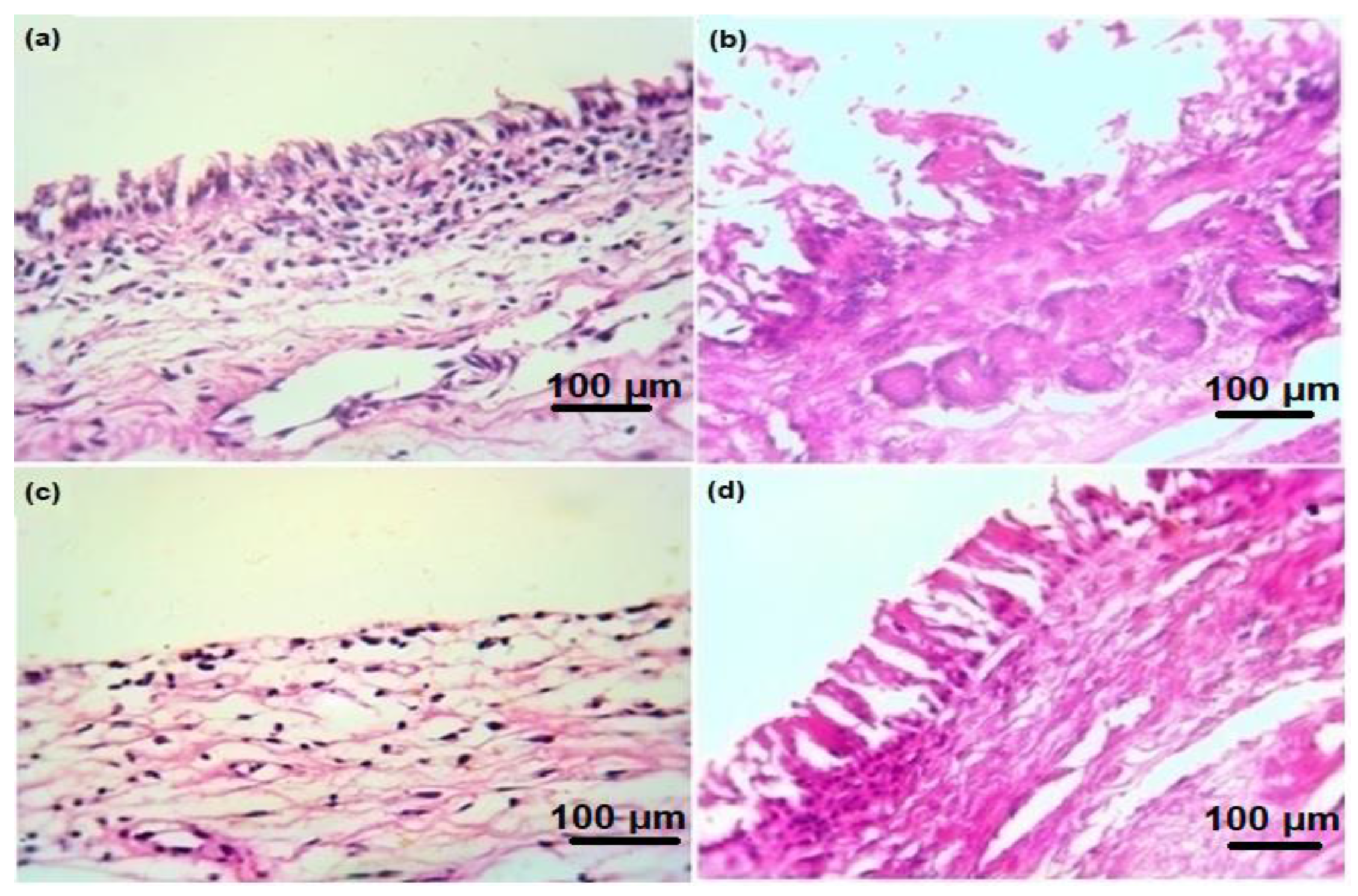Crystals 13 00021 g007