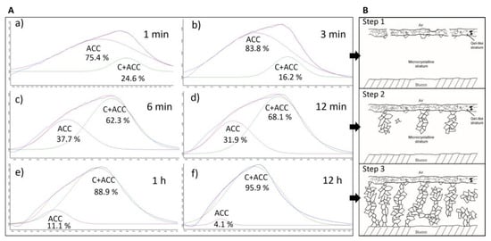 Crystals Free Full Text New Insights into the Geochemical