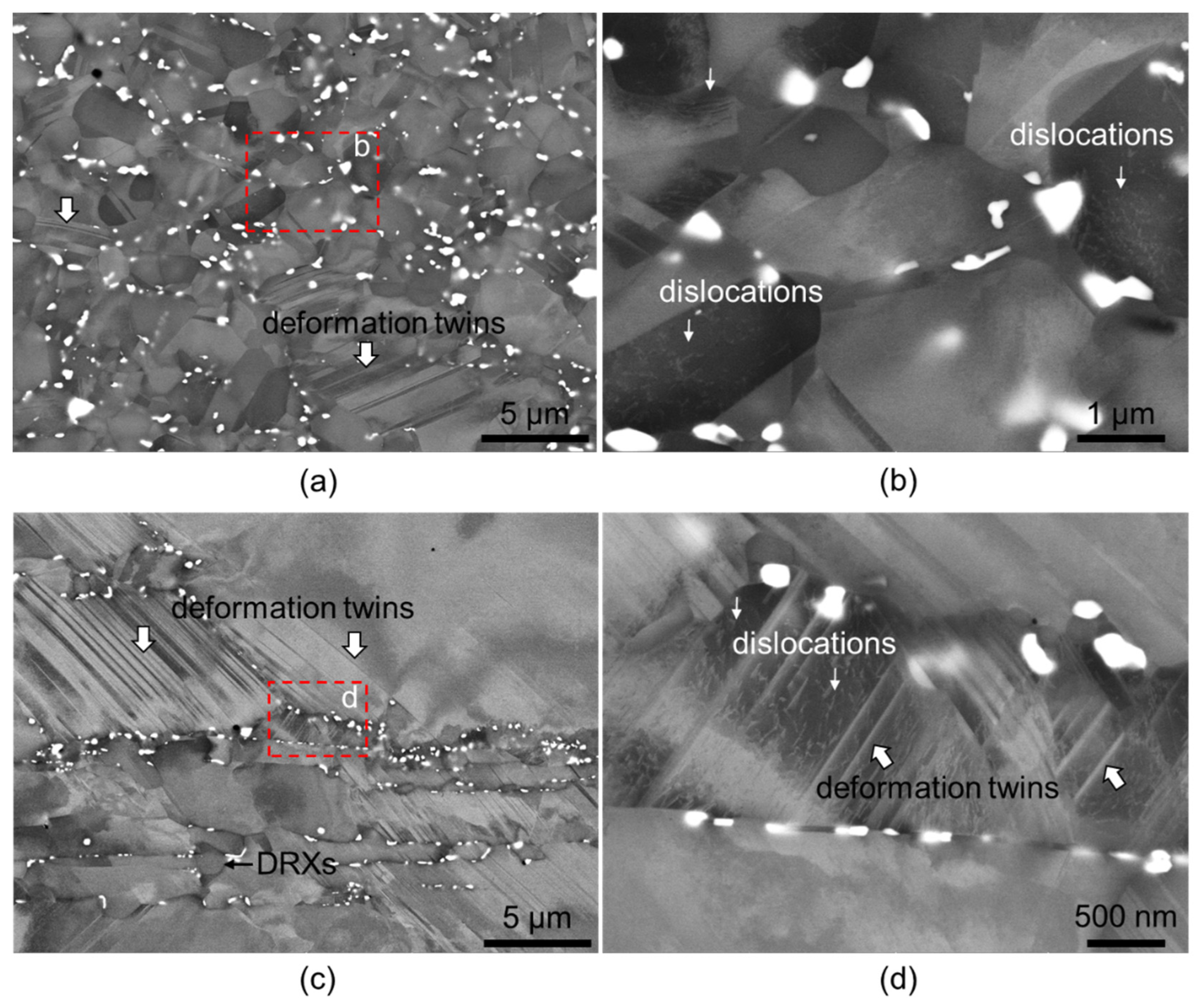 Crystals 13 00232 g005