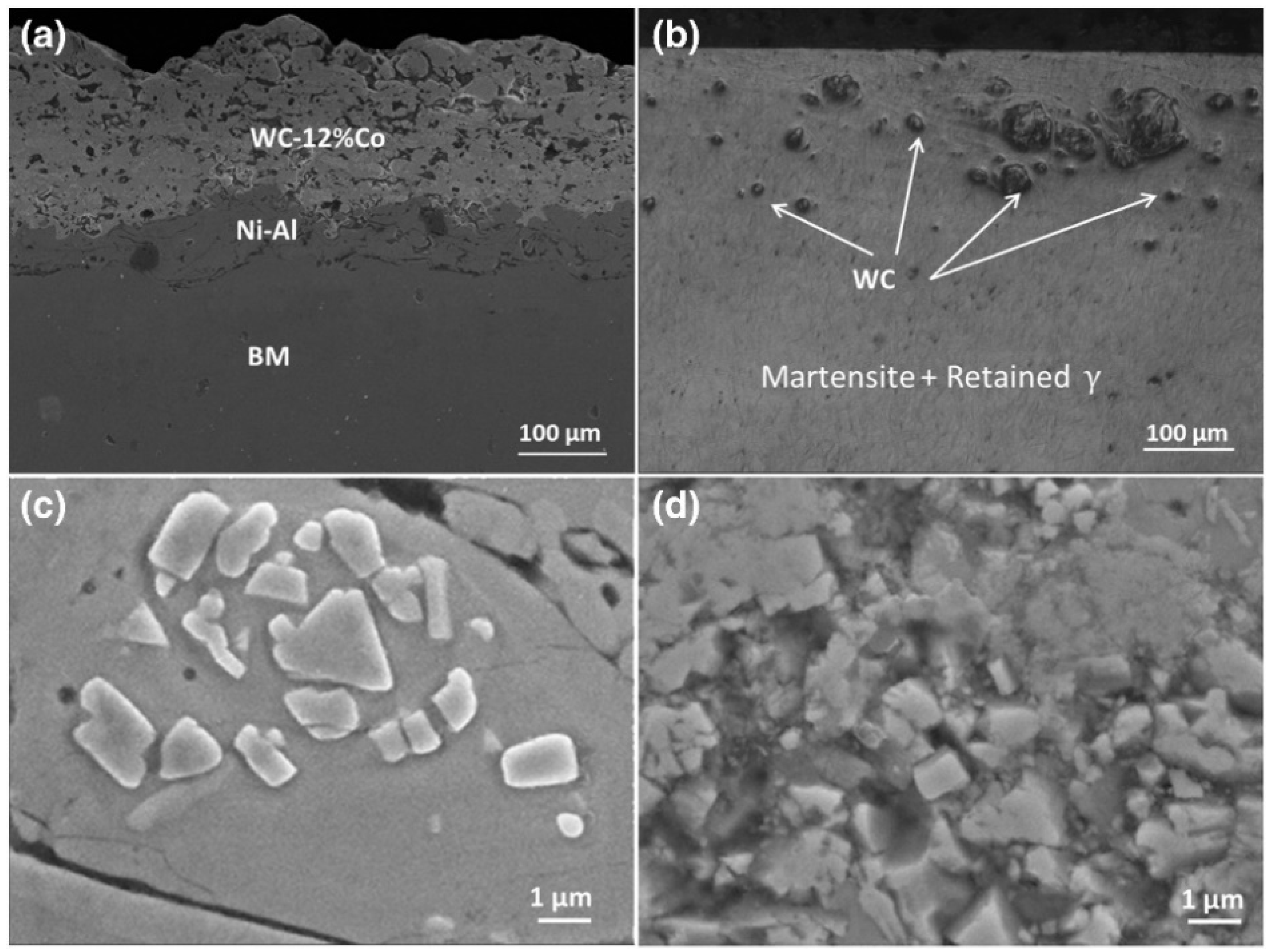 Crystals 13 00245 g005