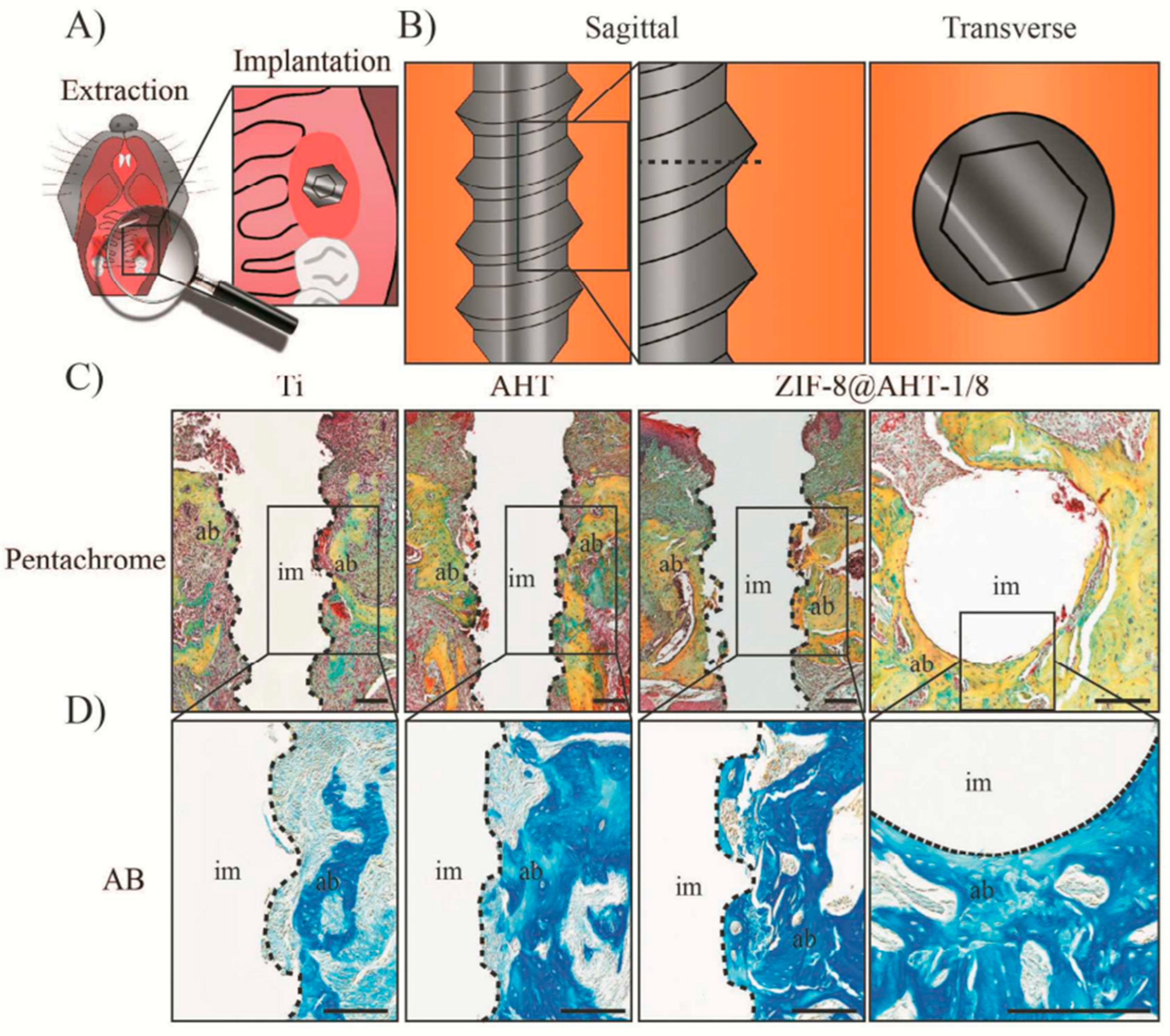 Crystals 13 00257 g005