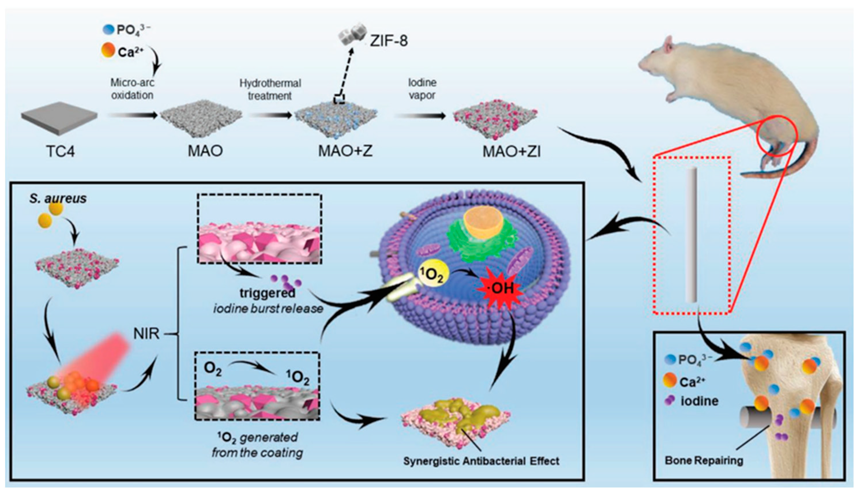 Crystals 13 00257 g007