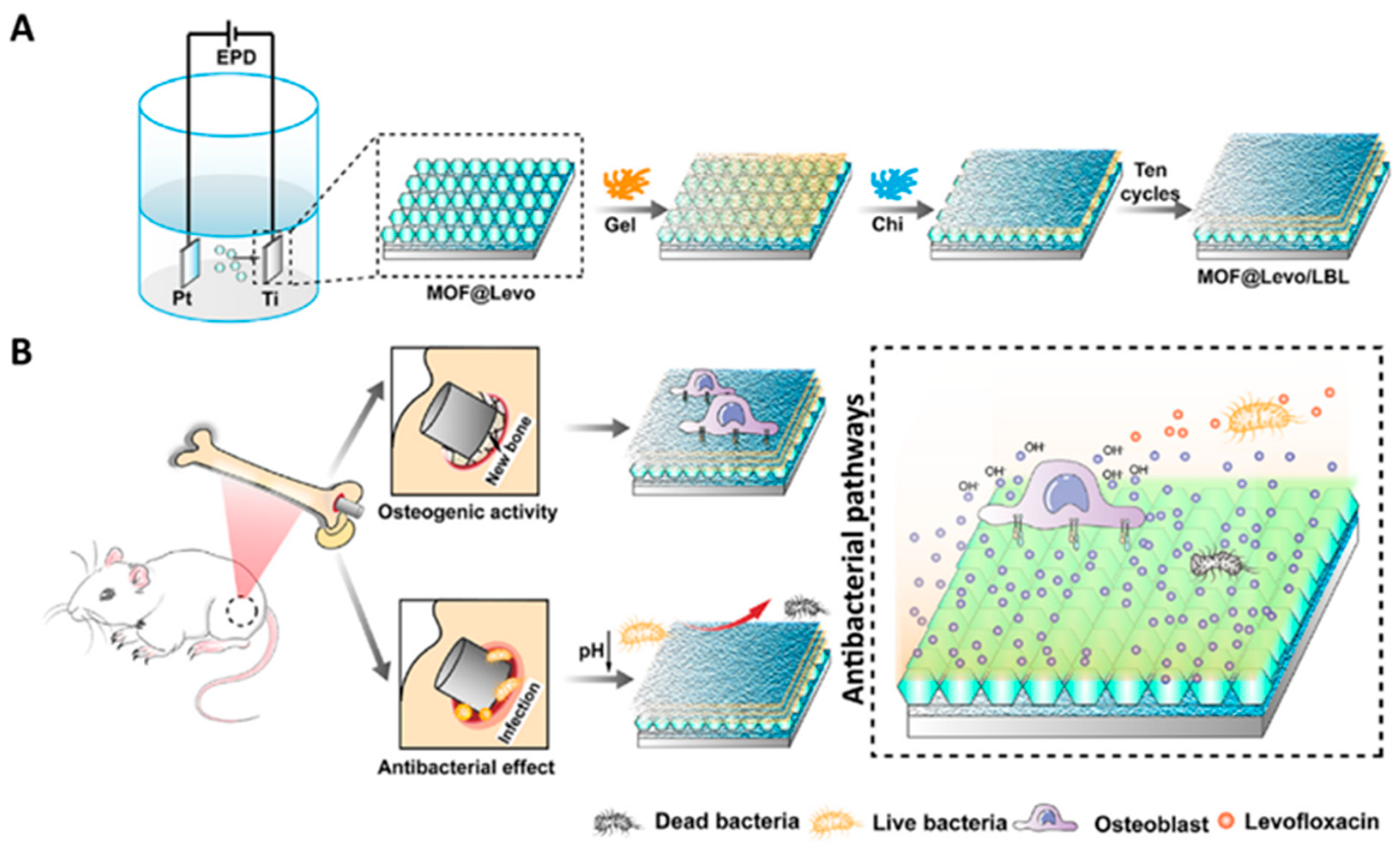 Crystals 13 00257 g008