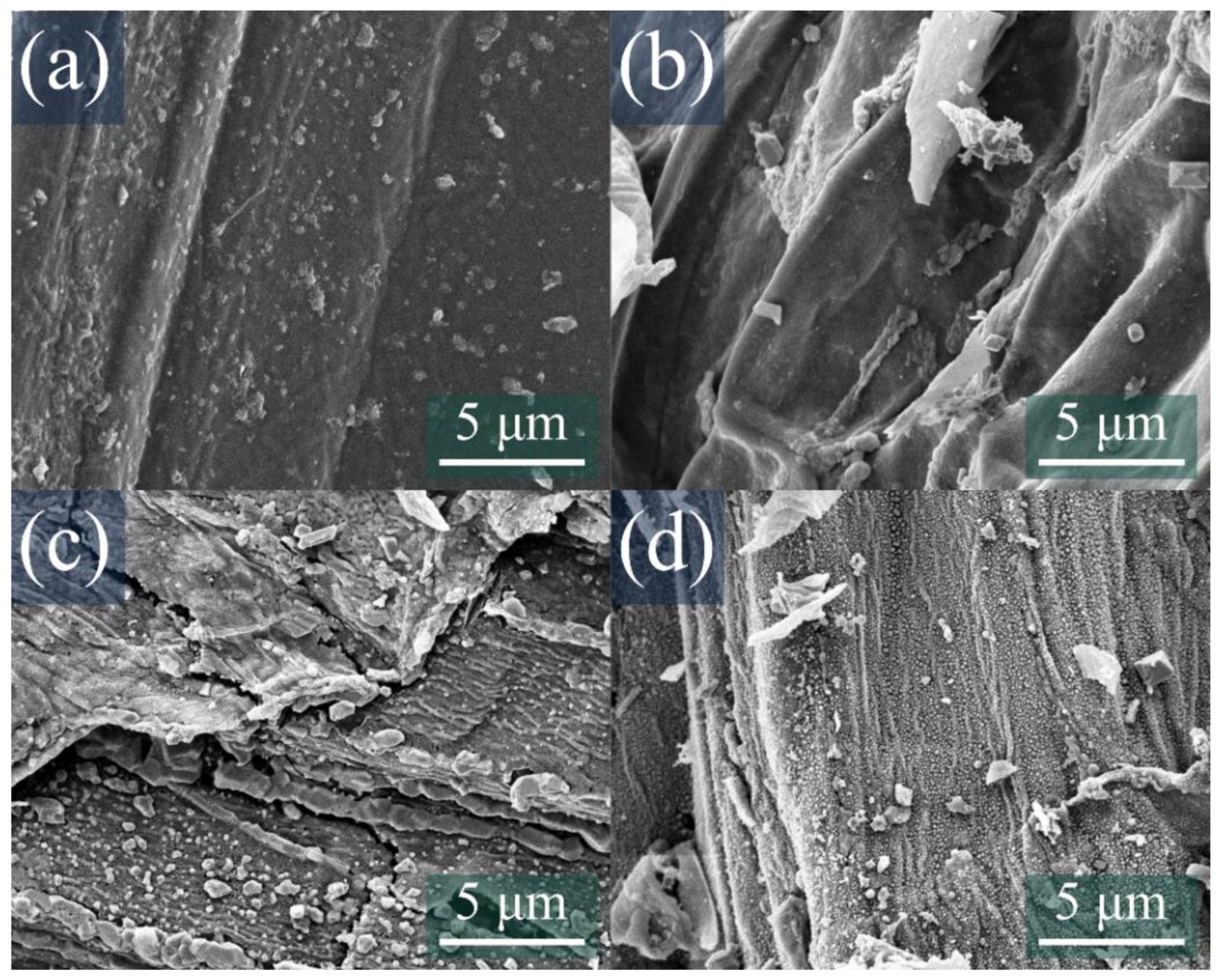 Crystals 13 00280 g003