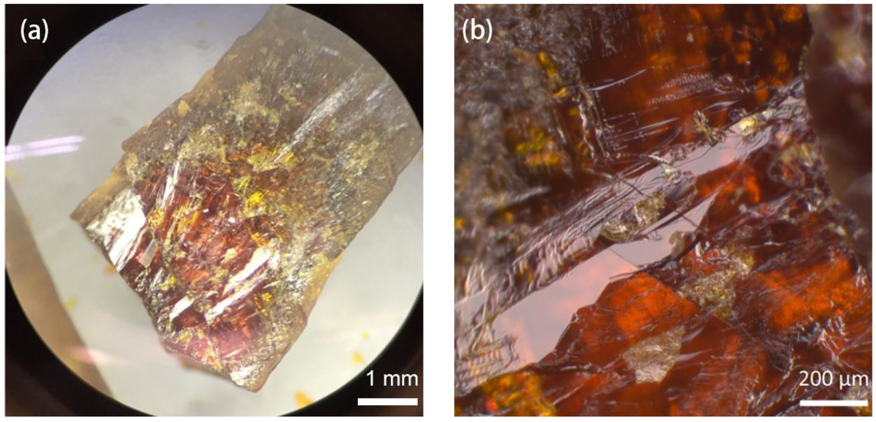 Crystals 13 00287 g002