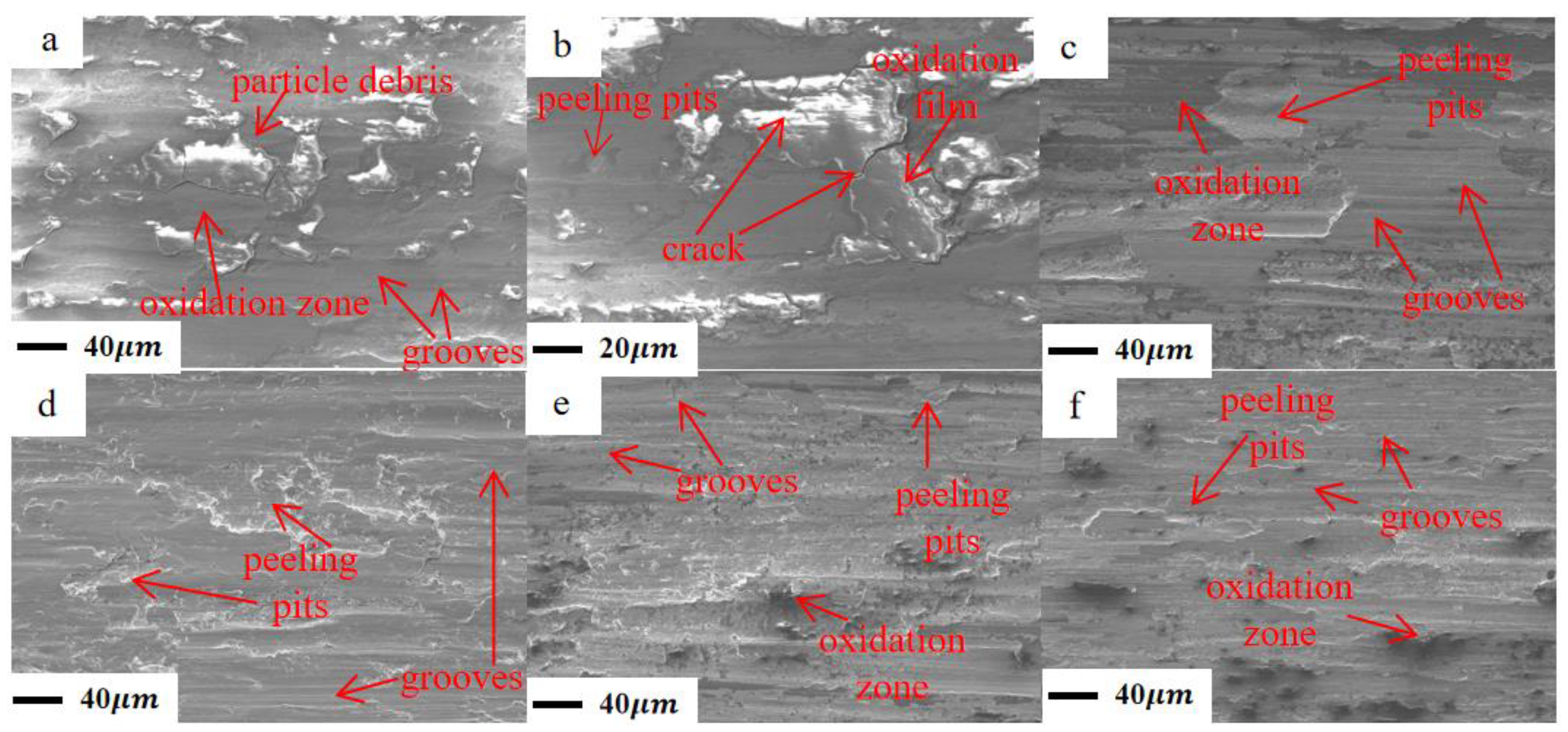 Crystals 13 00325 g014