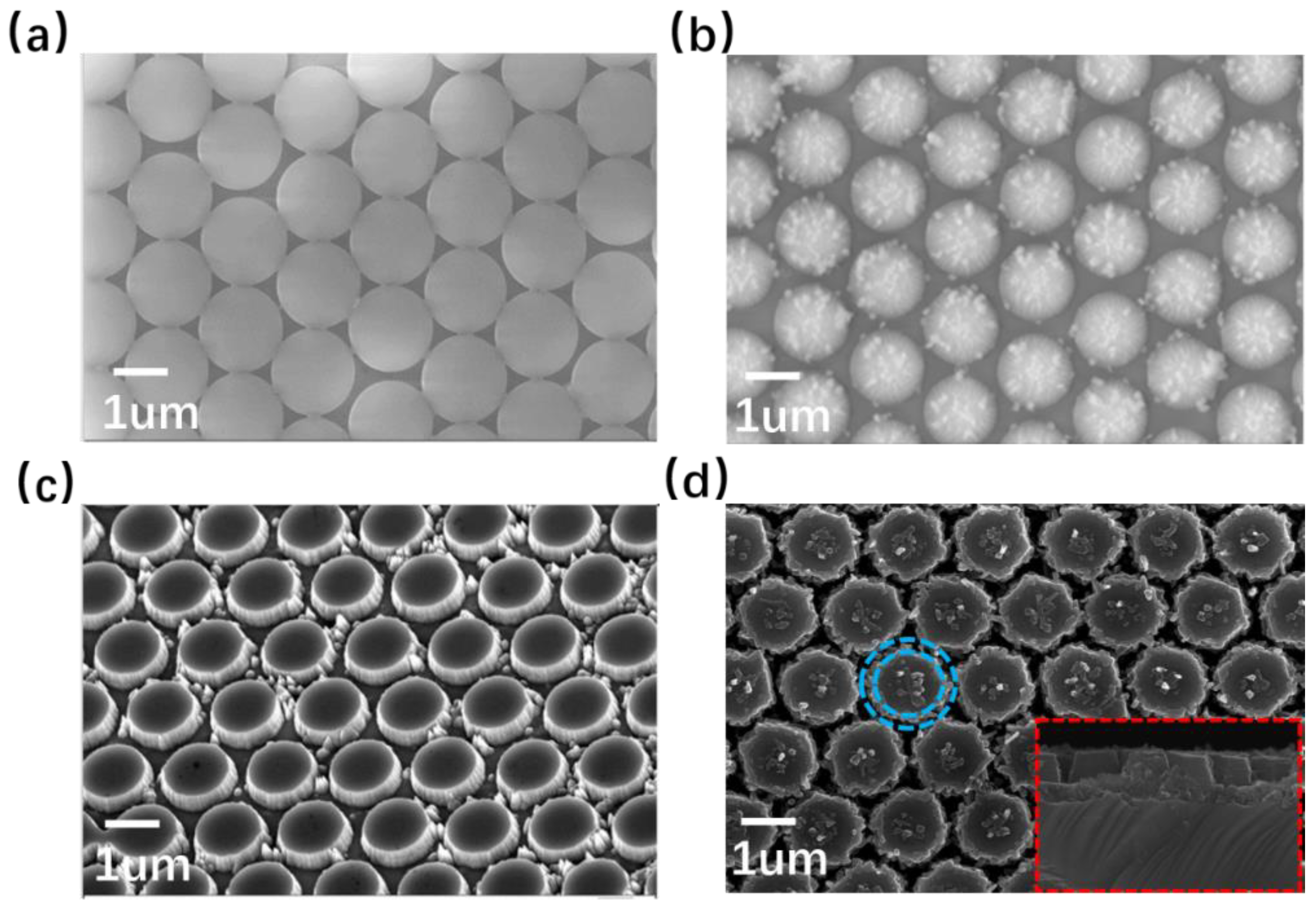 Crystals 13 00366 g002 Crystals 13 00366 g002